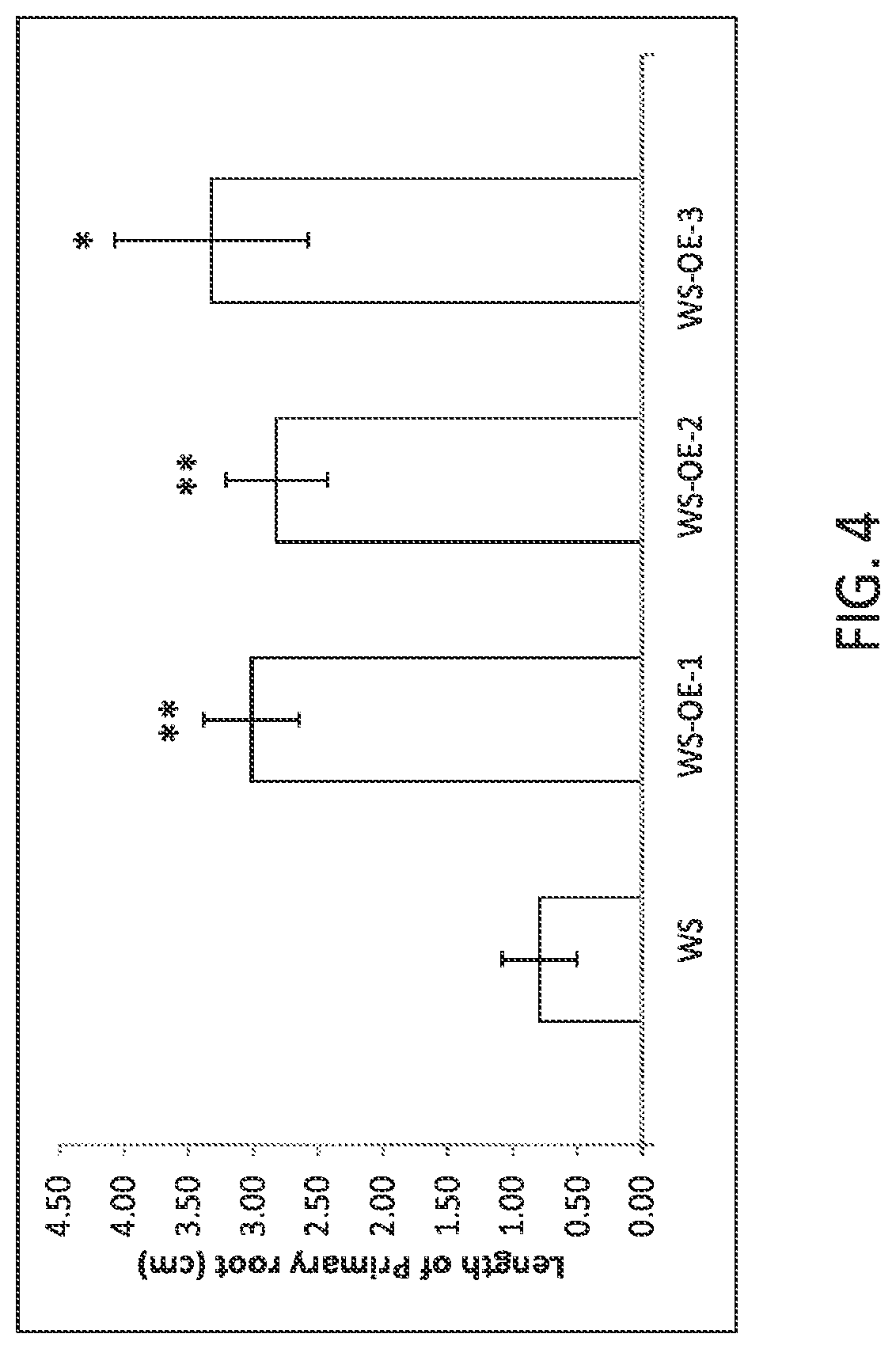 Patent US12297464 Figure 4 – Modified plants containing combination of apyrase genes and method for making modified plants with combination of apyrase genes