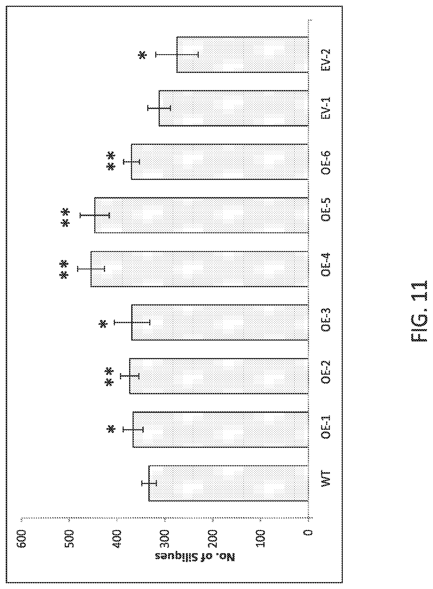 Patent US12297464 Figure 11 – Modified plants containing combination of apyrase genes and method for making modified plants with combination of apyrase genes