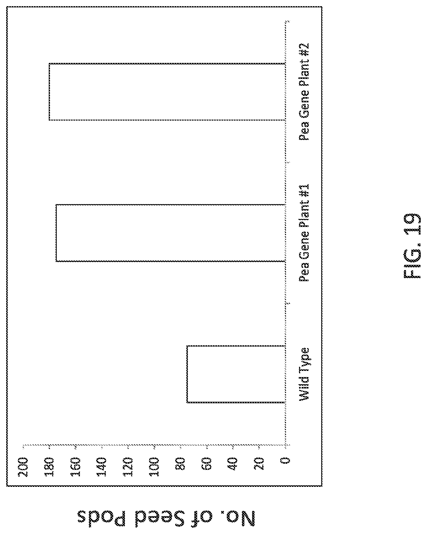 Patent US12297464 Figure 19 – Modified plants containing combination of apyrase genes and method for making modified plants with combination of apyrase genes