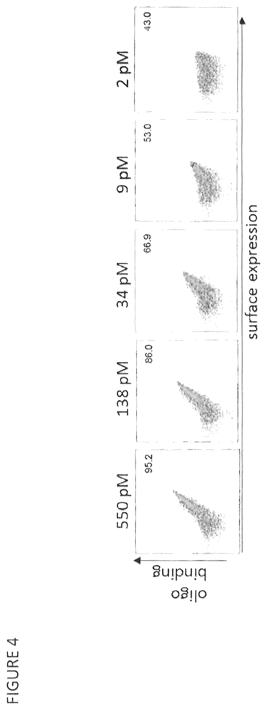 Patent US12297465 Figure 4 – CBLB endonuclease variants, compositions, and methods of use