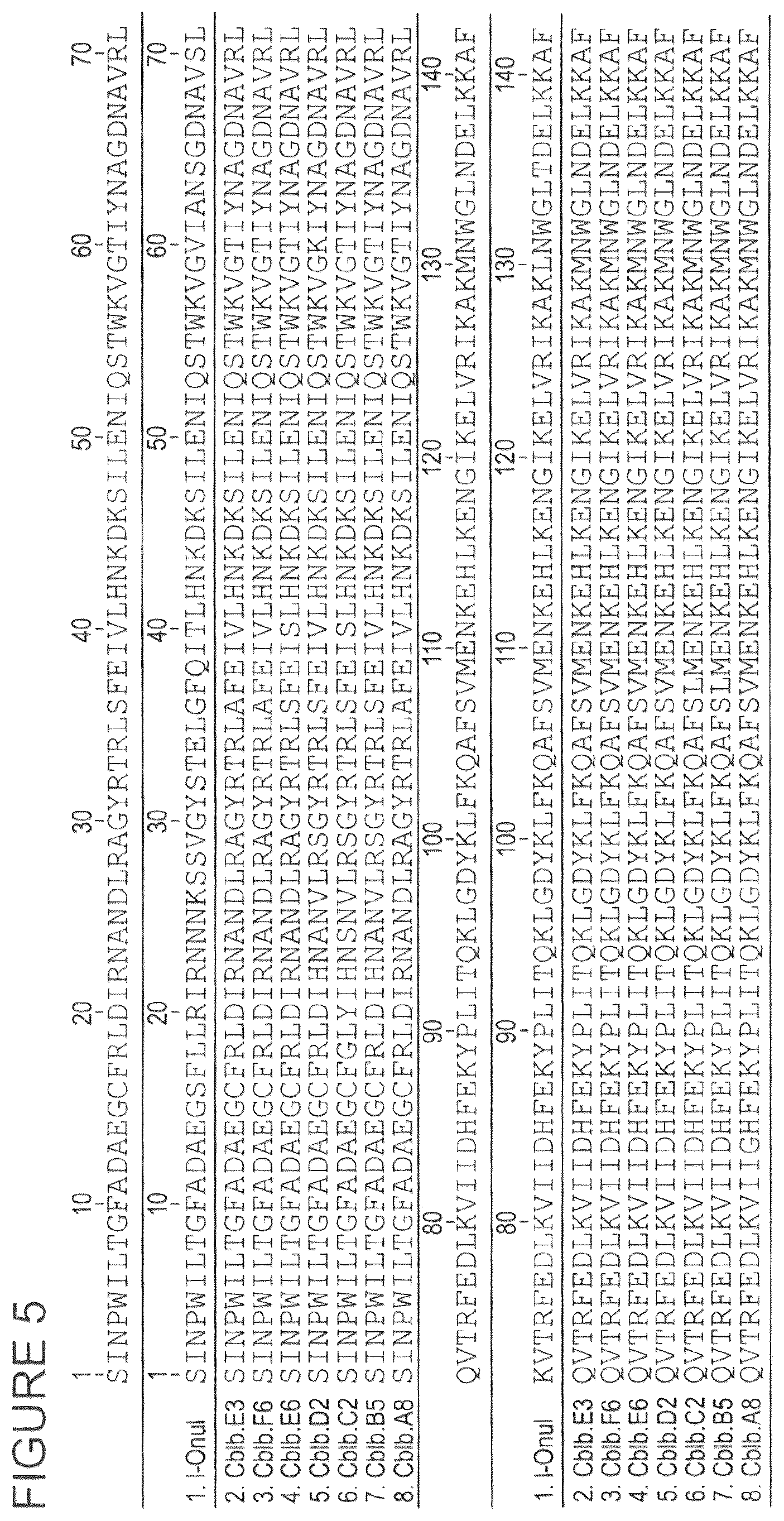 Patent US12297465 Figure 5 – CBLB endonuclease variants, compositions, and methods of use