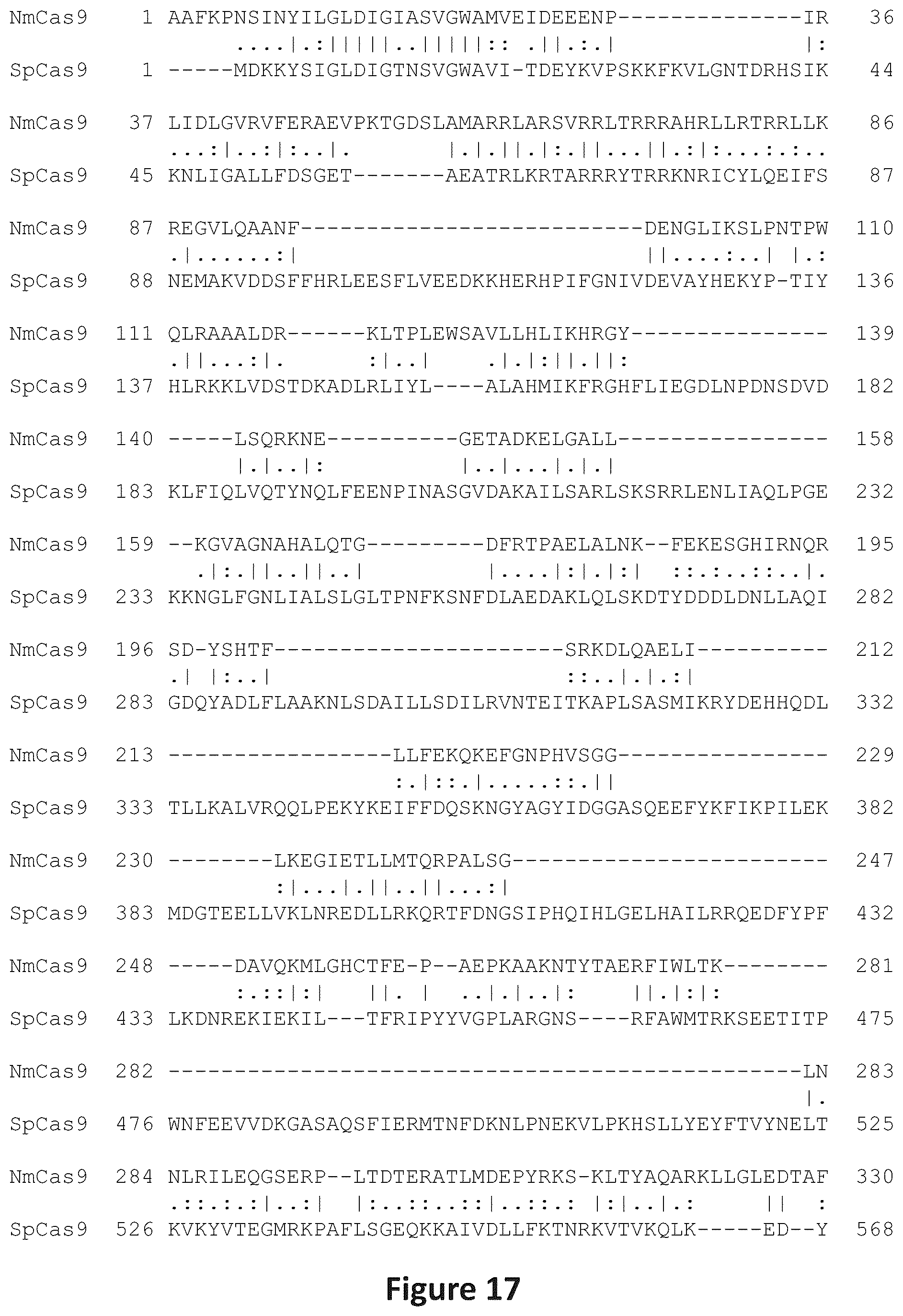 Patent US12297466 Figure 18 – Engineered Cas9 nucleases