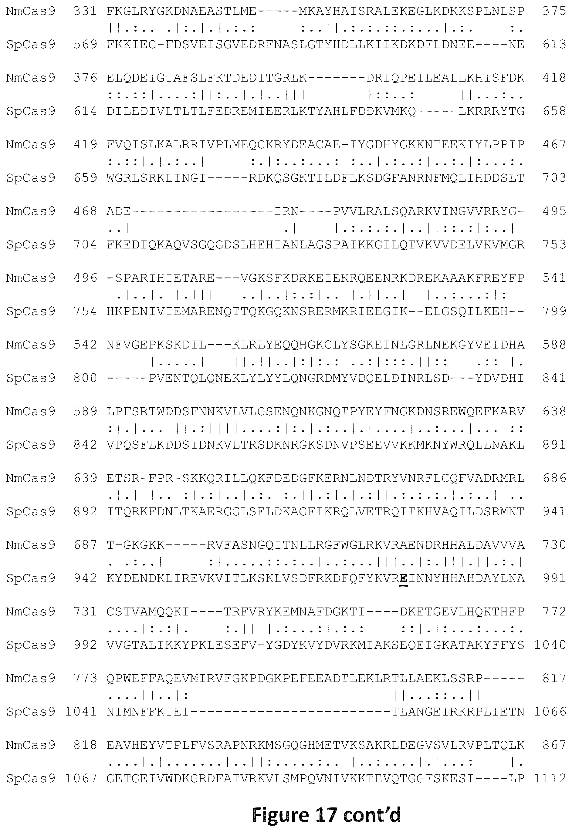 Patent US12297466 Figure 19 – Engineered Cas9 nucleases