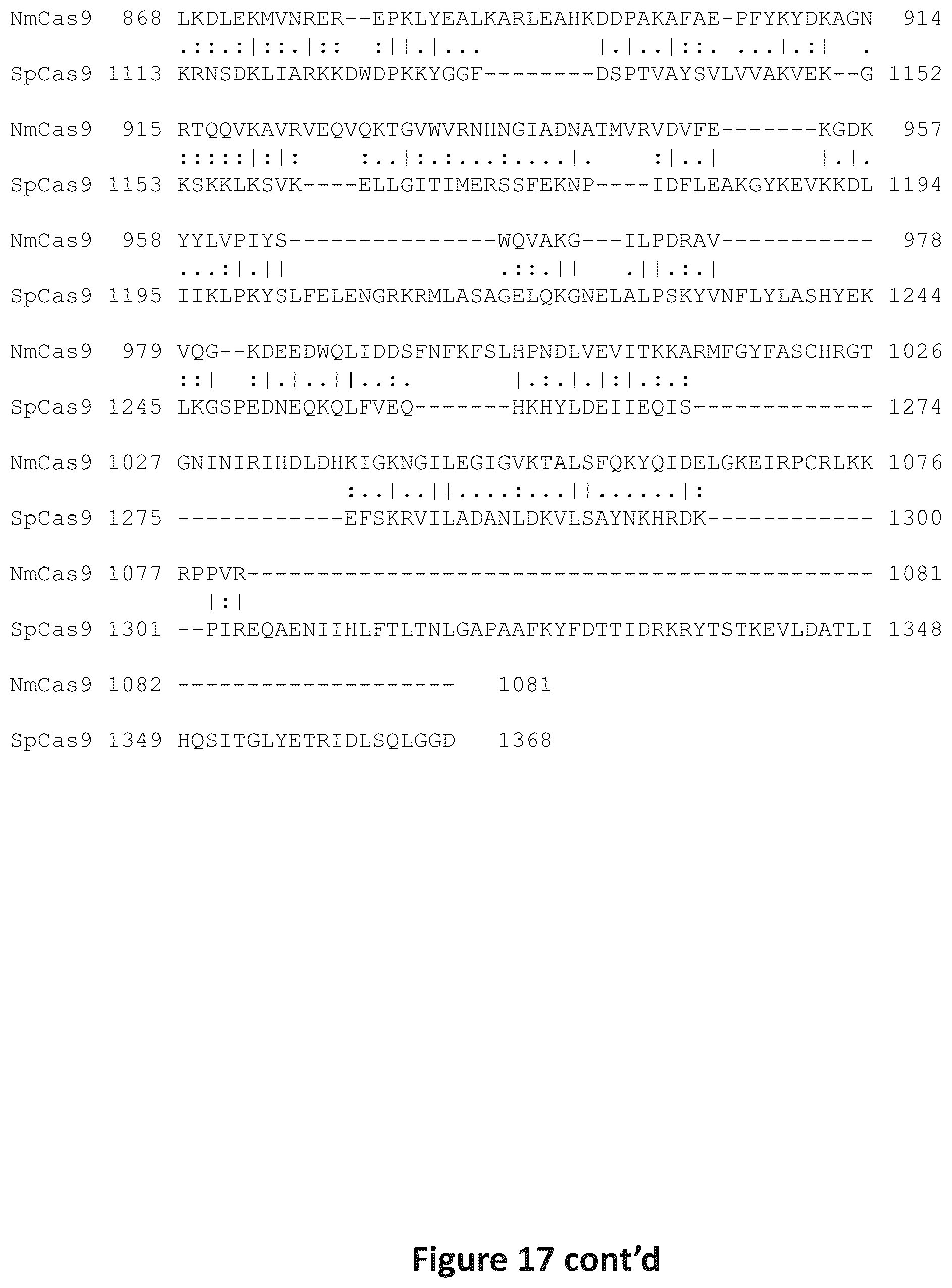 Patent US12297466 Figure 20 – Engineered Cas9 nucleases