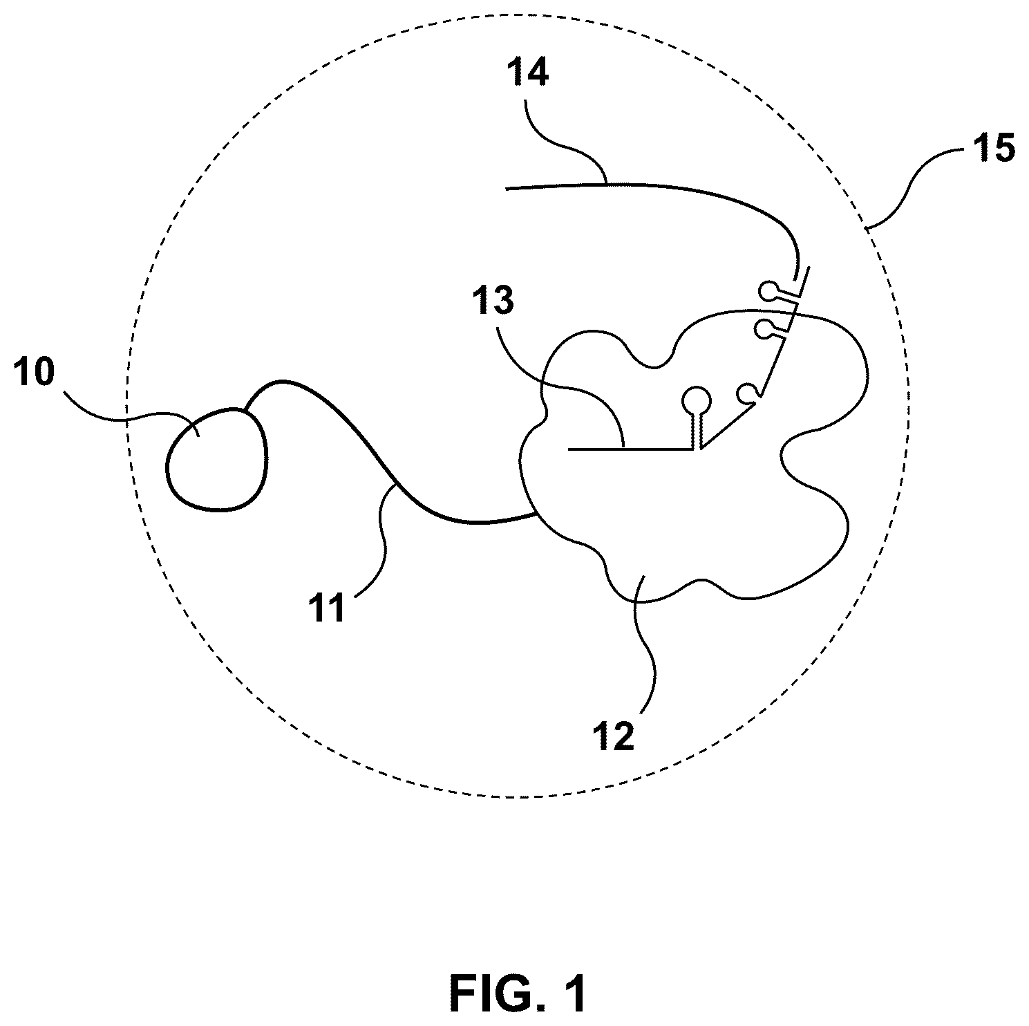 Patent US12297467 Figure 1 – Lipid-encapsulated dual-cleaving endonuclease for DNA and gene editing