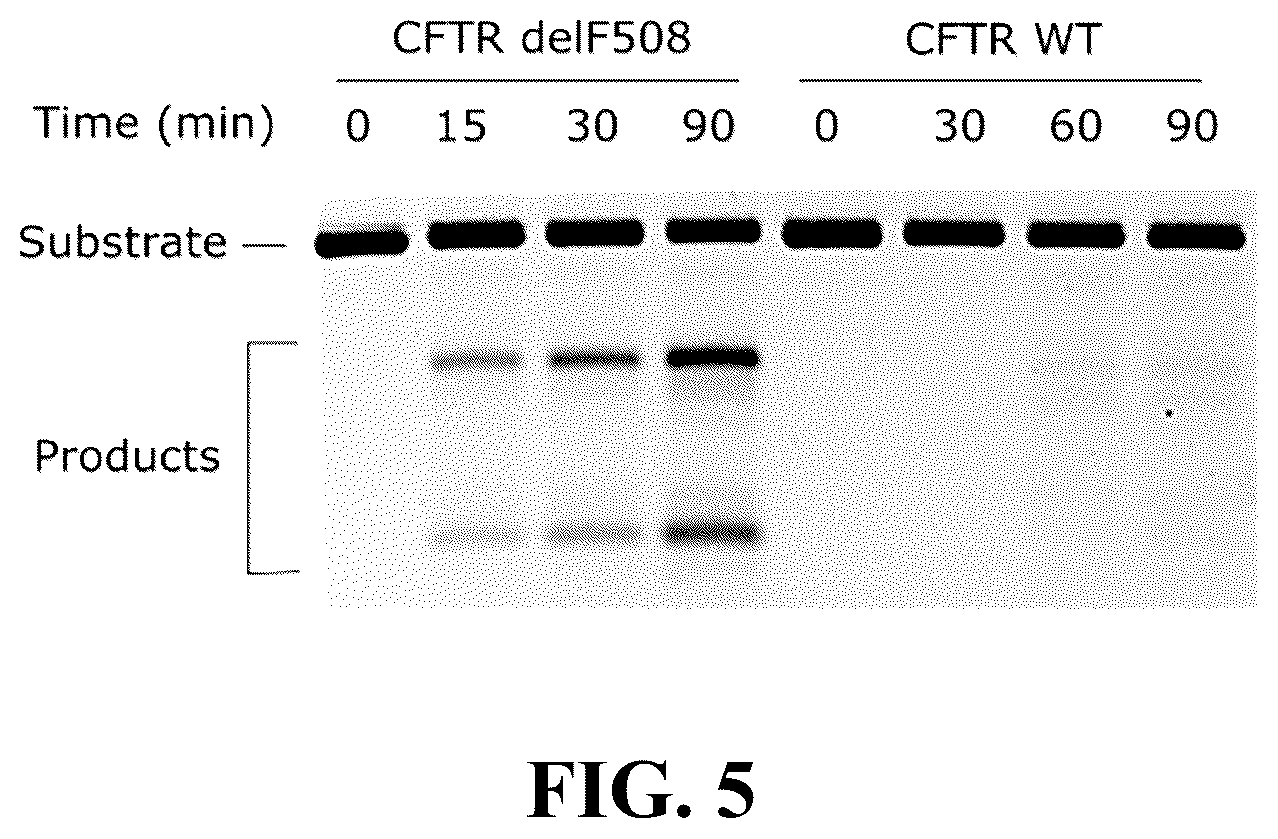 Patent US12297467 Figure 5 – Lipid-encapsulated dual-cleaving endonuclease for DNA and gene editing