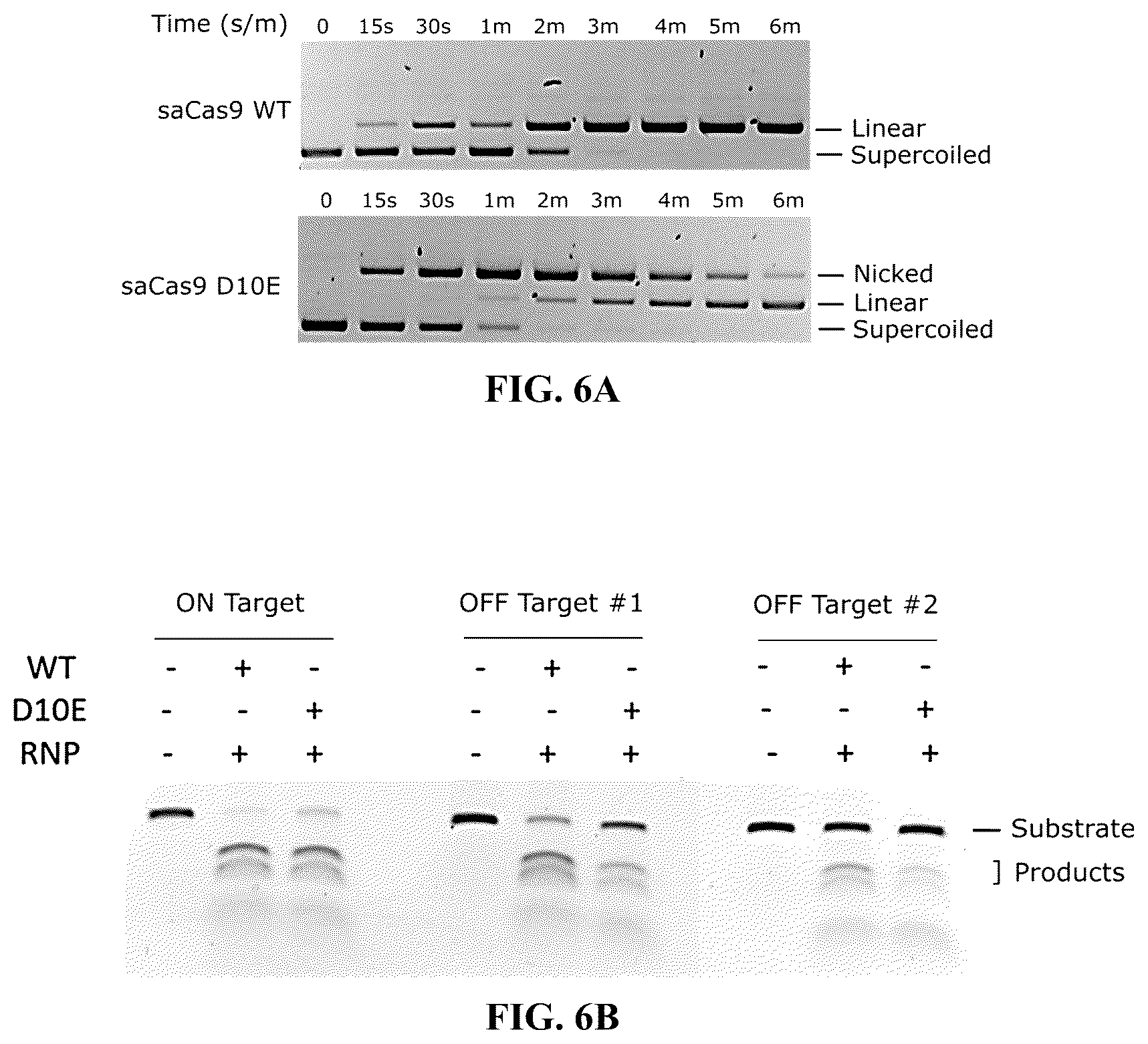 Patent US12297467 Figure 6 – Lipid-encapsulated dual-cleaving endonuclease for DNA and gene editing