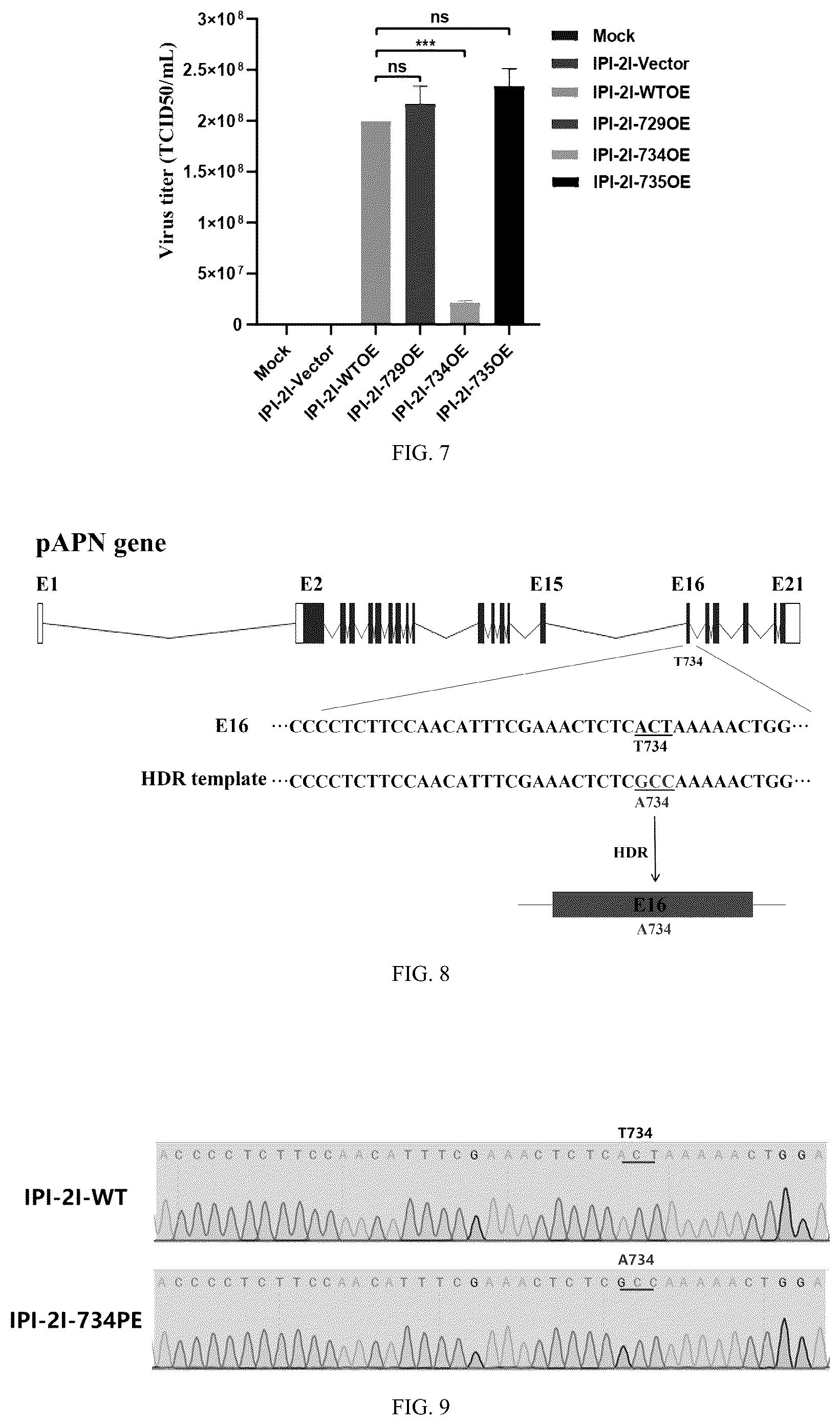 Patent US12297468 Figure 3 – pAPN mutant and composition for site-directed modification of pAPN gene and application thereof