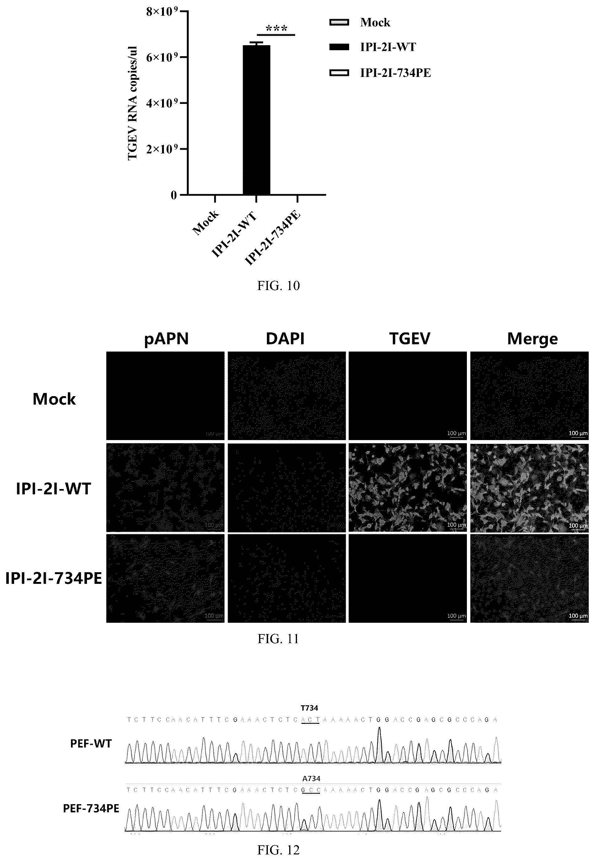 Patent US12297468 Figure 4 – pAPN mutant and composition for site-directed modification of pAPN gene and application thereof