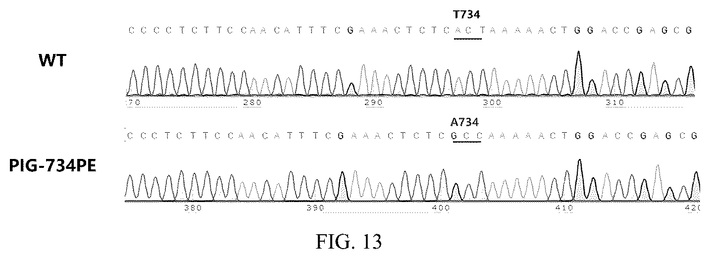 Patent US12297468 Figure 5 – pAPN mutant and composition for site-directed modification of pAPN gene and application thereof