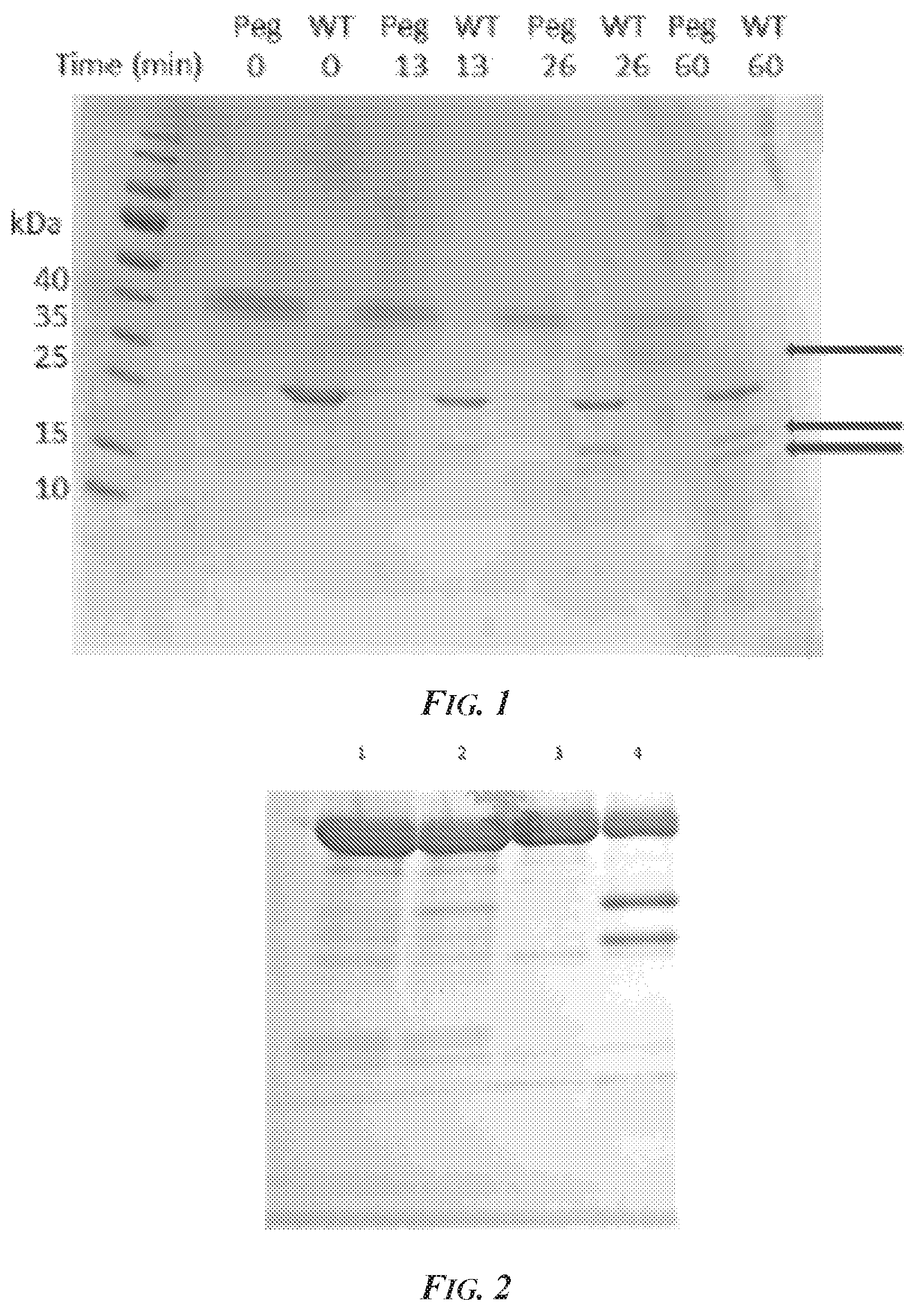 Patent US12297469 Figure 1 – Methods and compositions for inhibiting ADAM10 biological activities