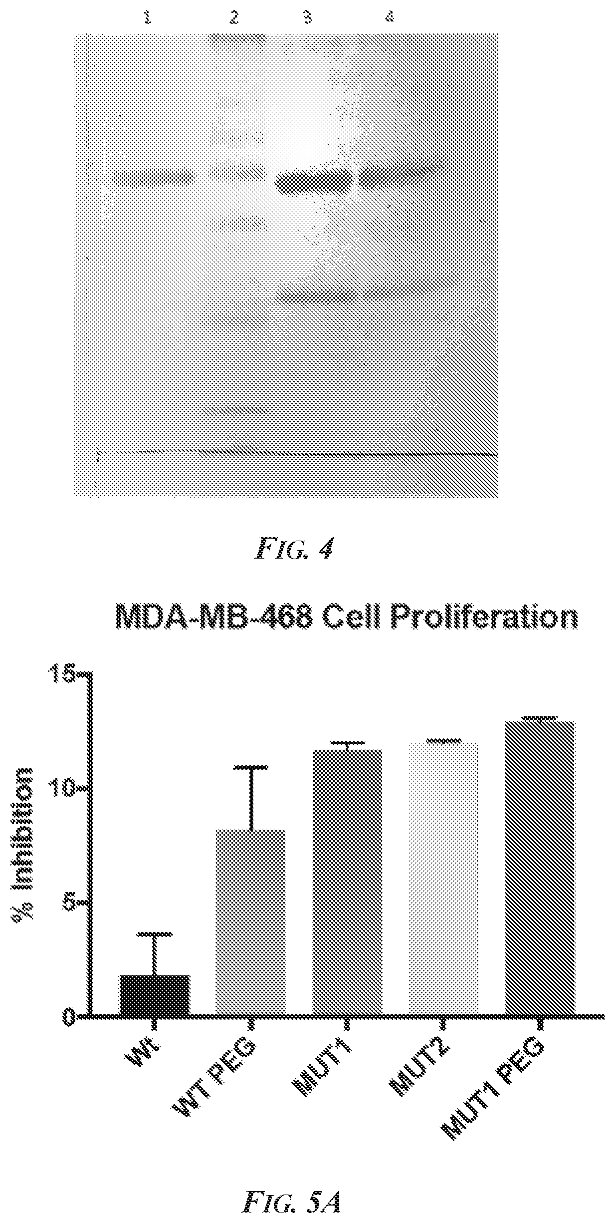 Patent US12297469 Figure 3 – Methods and compositions for inhibiting ADAM10 biological activities