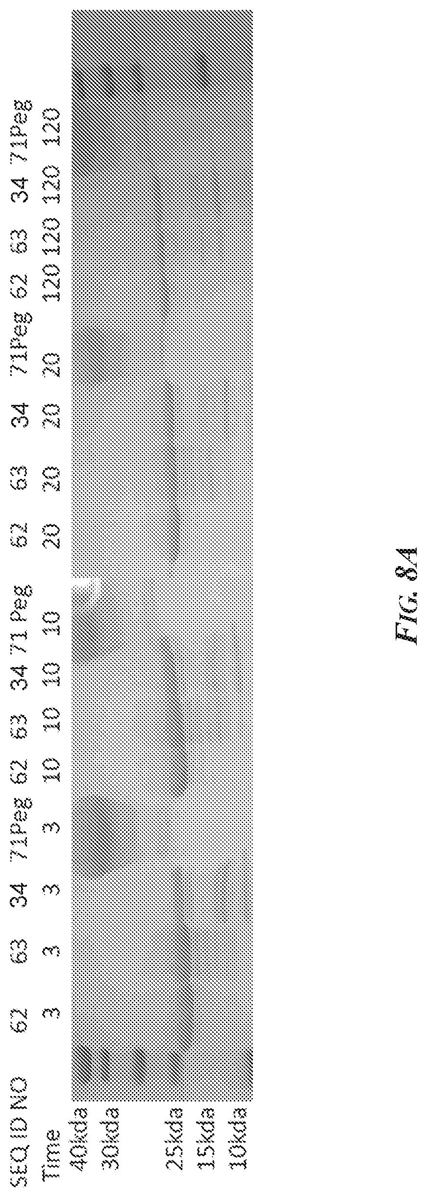 Patent US12297469 Figure 8 – Methods and compositions for inhibiting ADAM10 biological activities