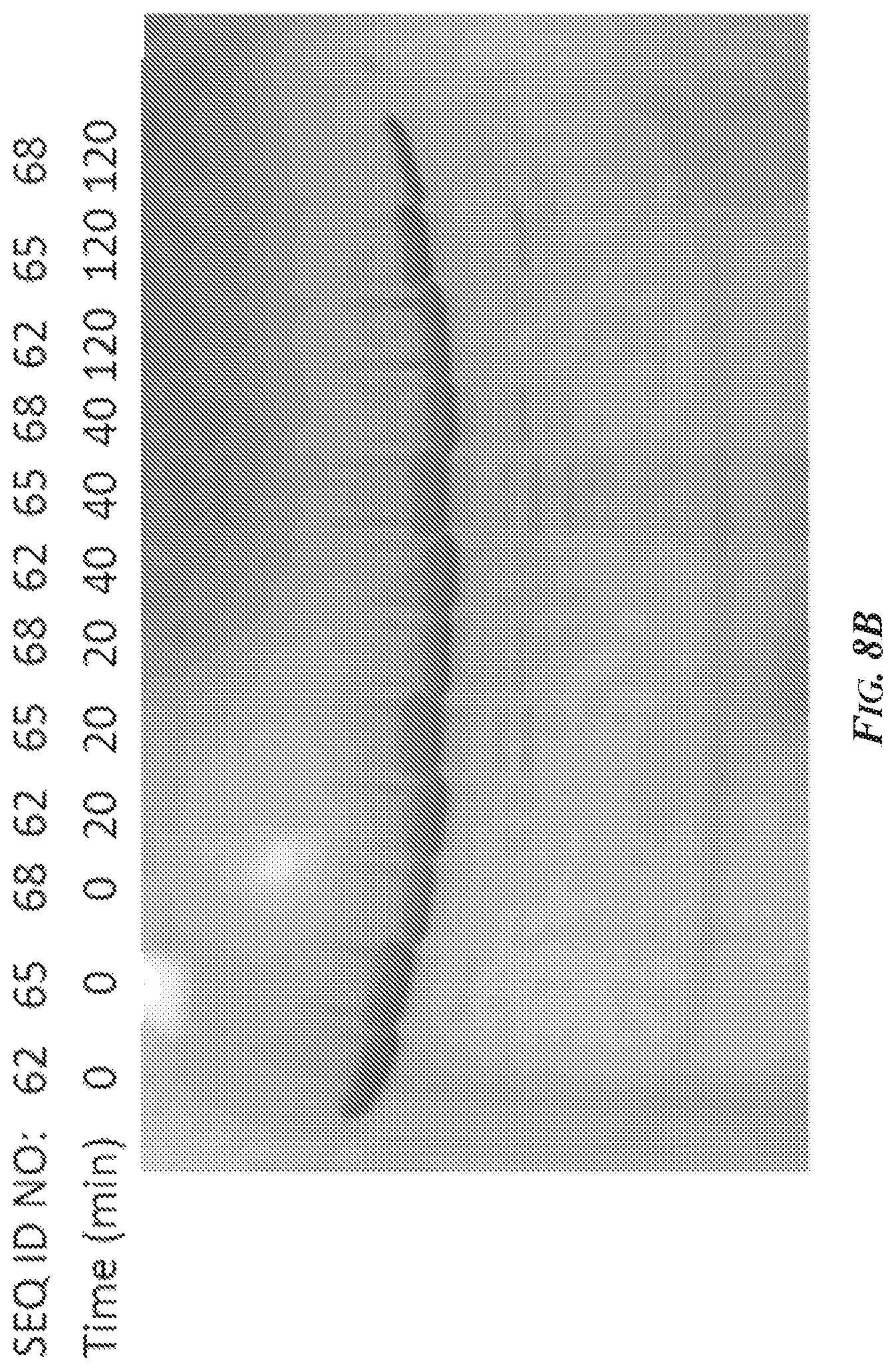 Patent US12297469 Figure 9 – Methods and compositions for inhibiting ADAM10 biological activities