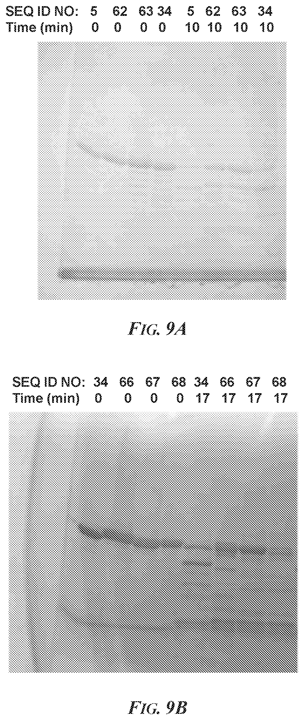 Patent US12297469 Figure 11 – Methods and compositions for inhibiting ADAM10 biological activities