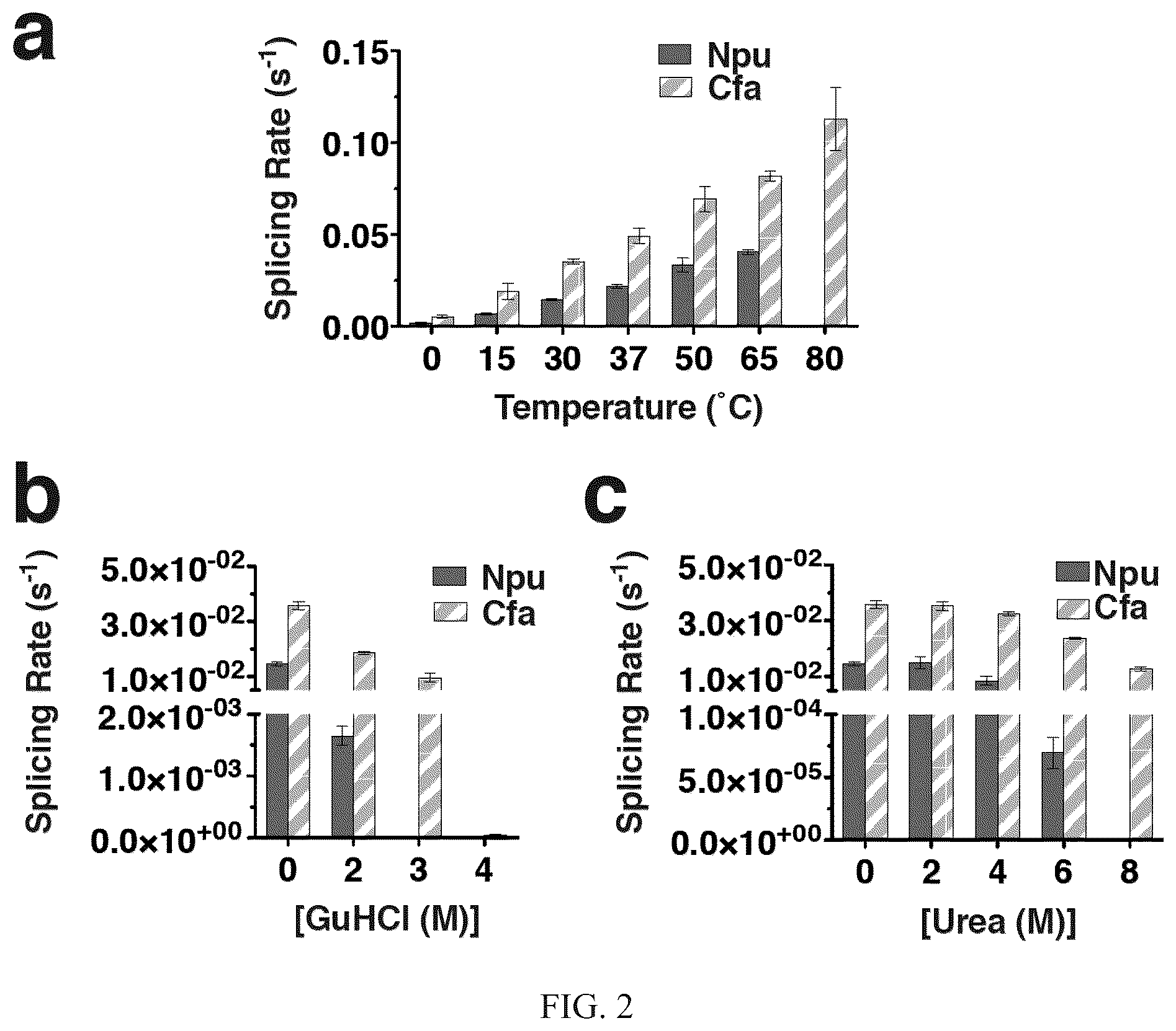 Patent US12297472 Figure 2 – Split inteins with exceptional splicing activity