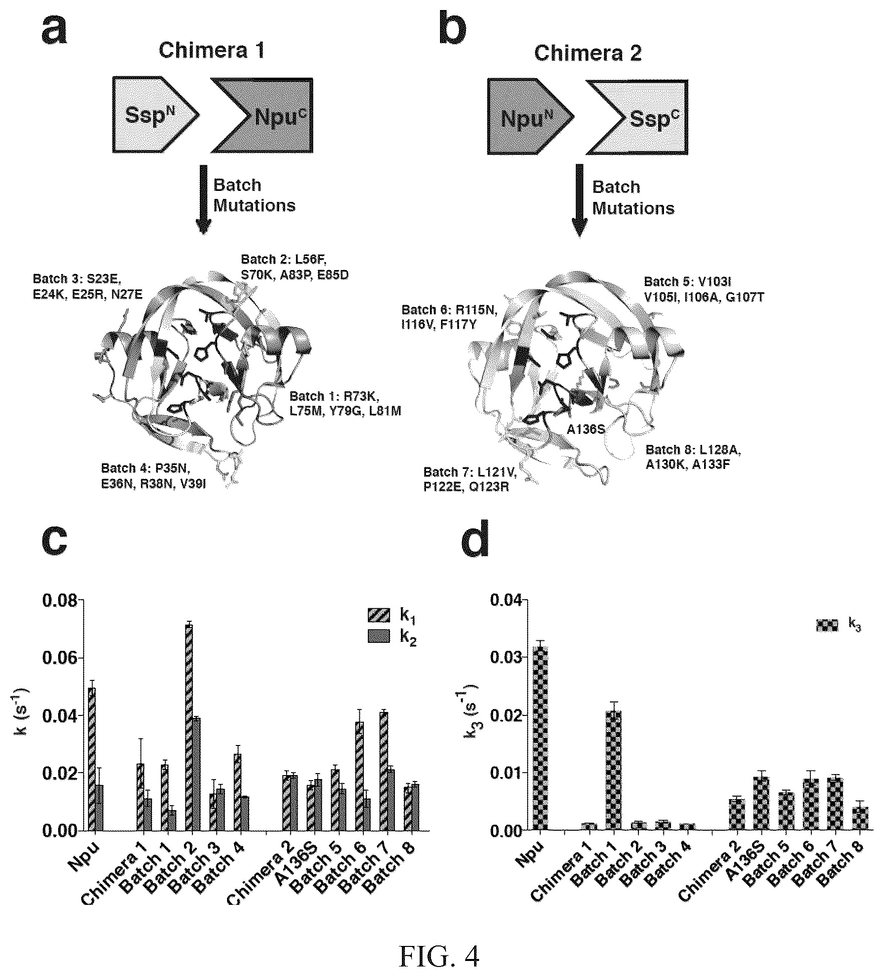 Patent US12297472 Figure 6 – Split inteins with exceptional splicing activity