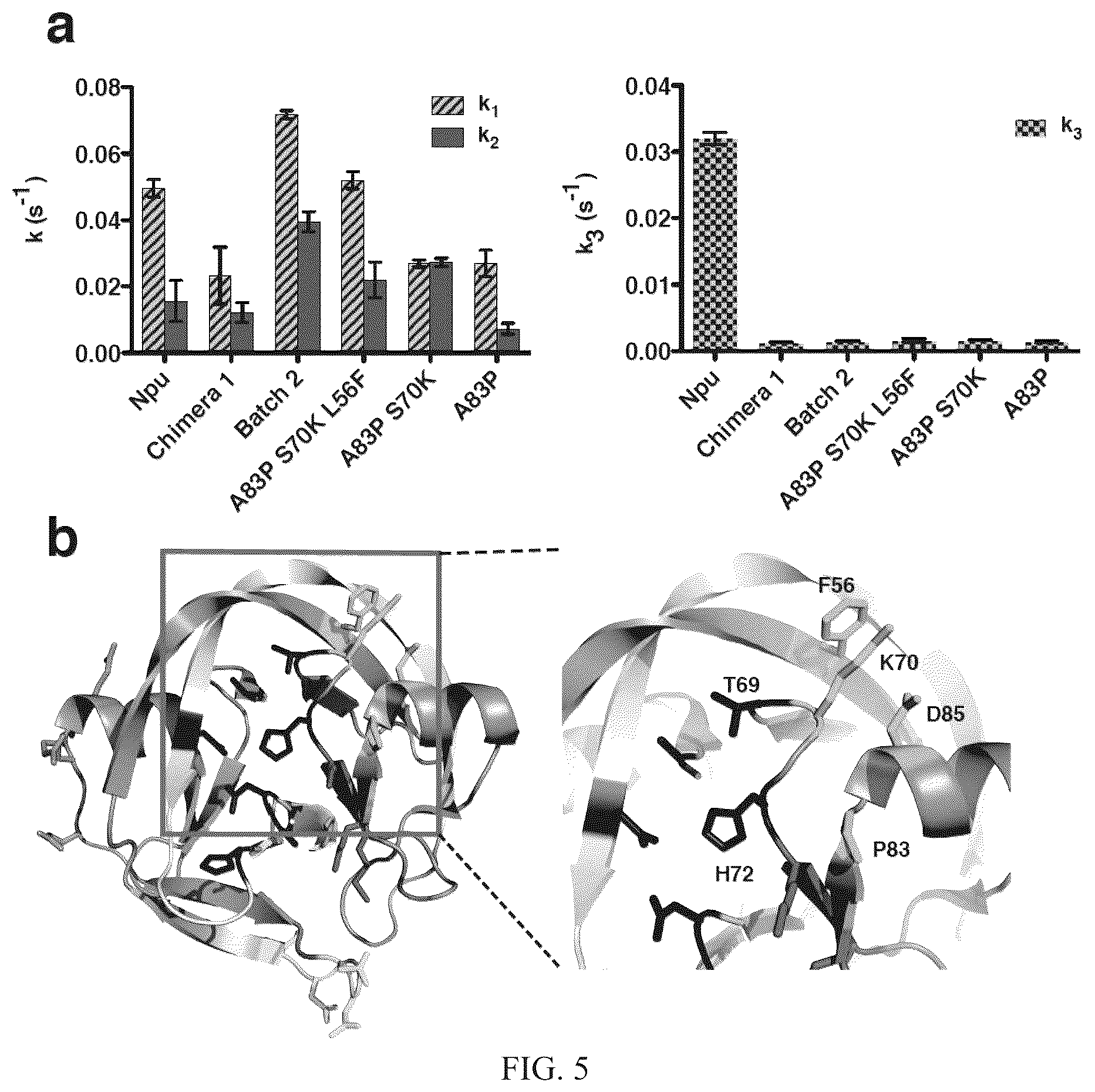 Patent US12297472 Figure 7 – Split inteins with exceptional splicing activity