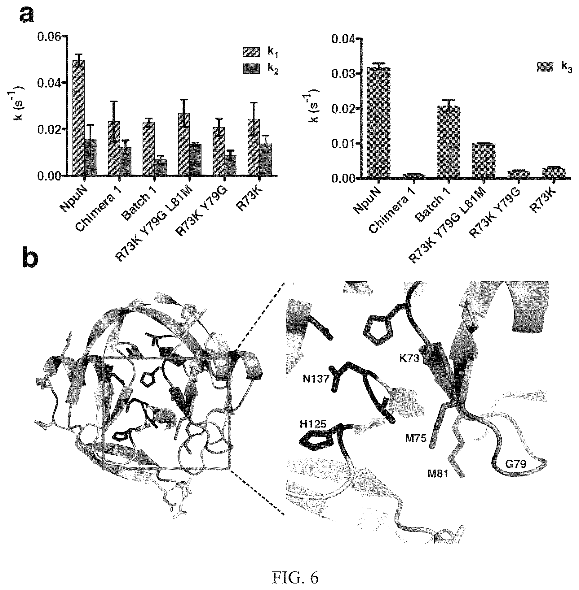 Patent US12297472 Figure 8 – Split inteins with exceptional splicing activity