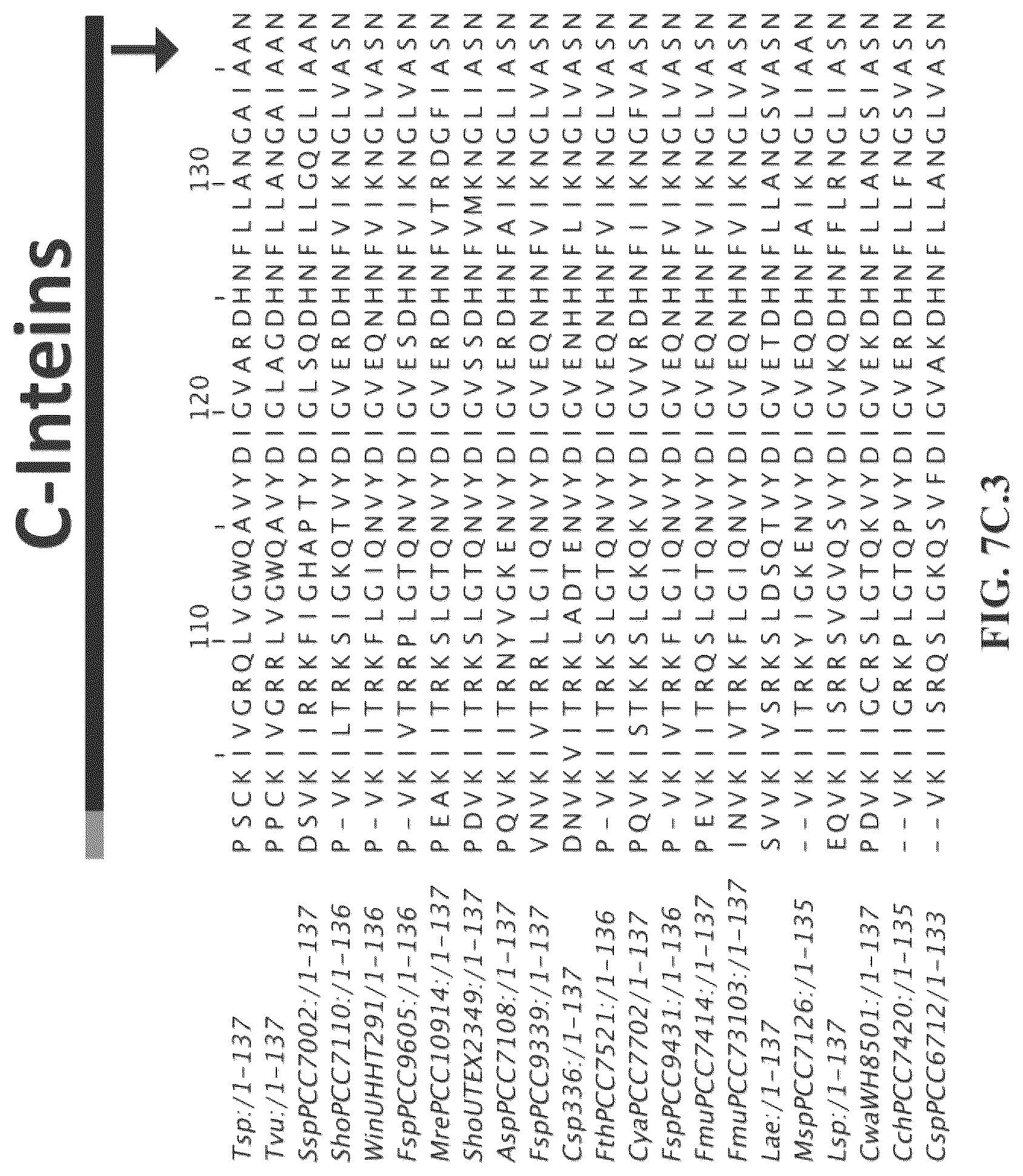 Patent US12297472 Figure 17 – Split inteins with exceptional splicing activity