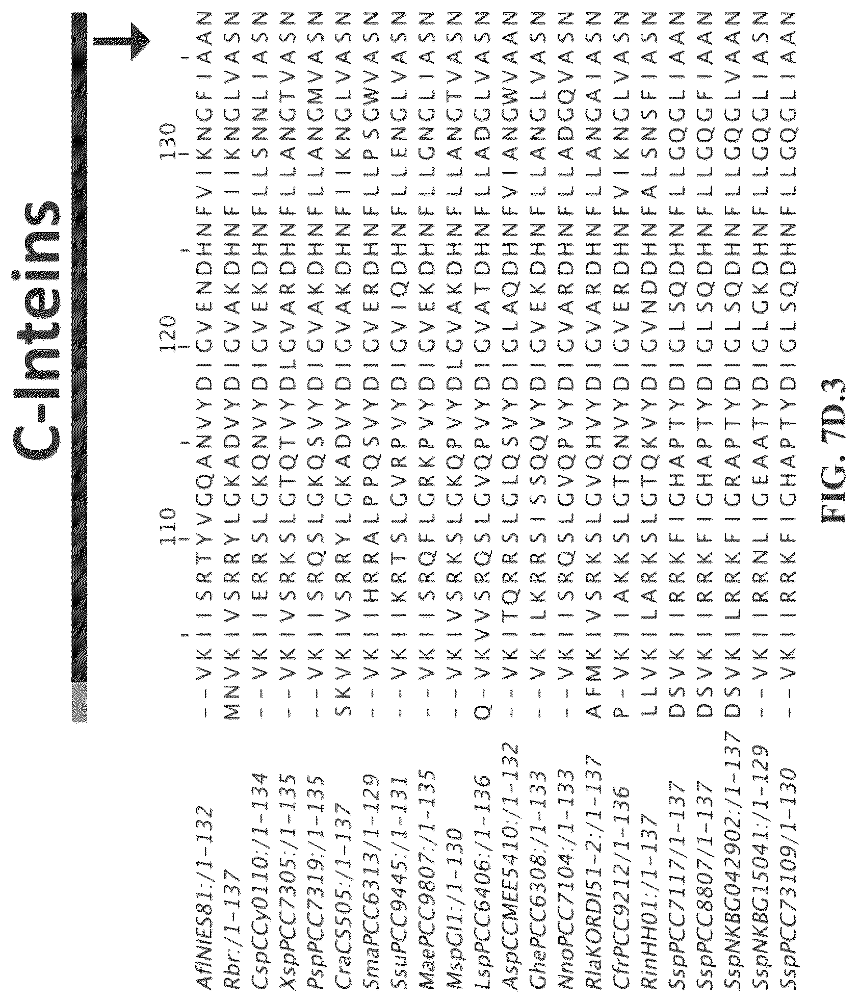 Patent US12297472 Figure 20 – Split inteins with exceptional splicing activity