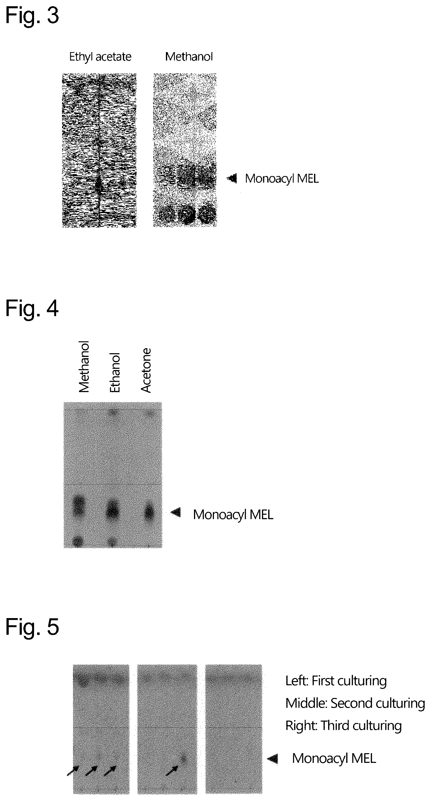Patent US12297473 Figure 2 – Production of monoacyl MEL