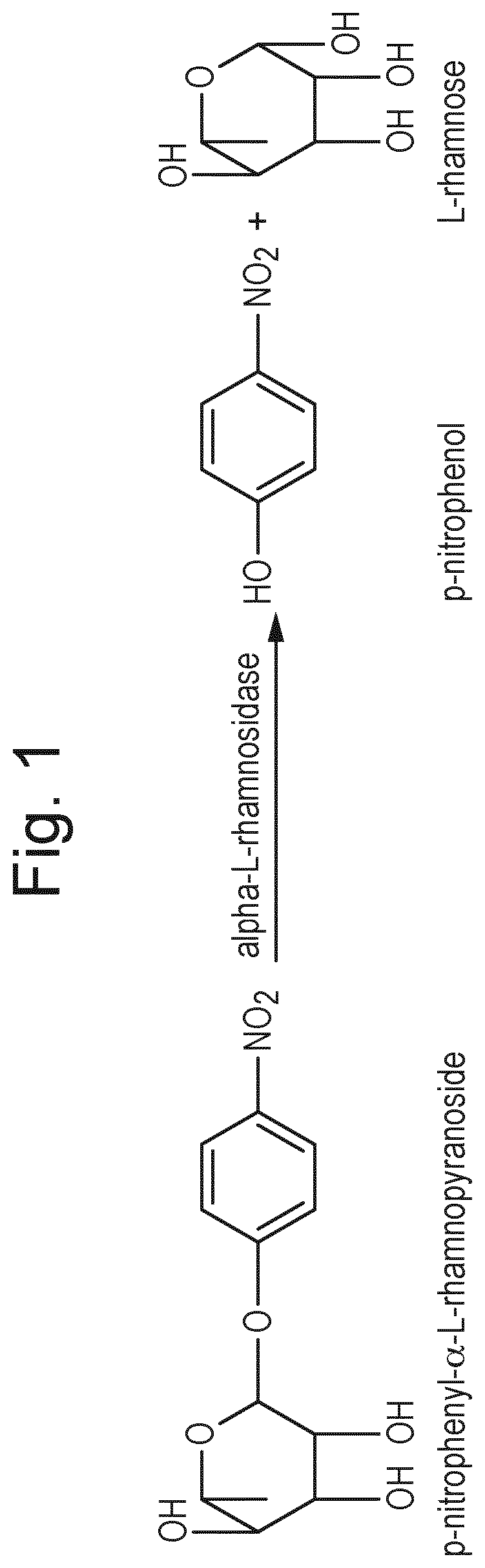 Patent US12297474 Figure 1 – Process to produce mono-rhamnolipids