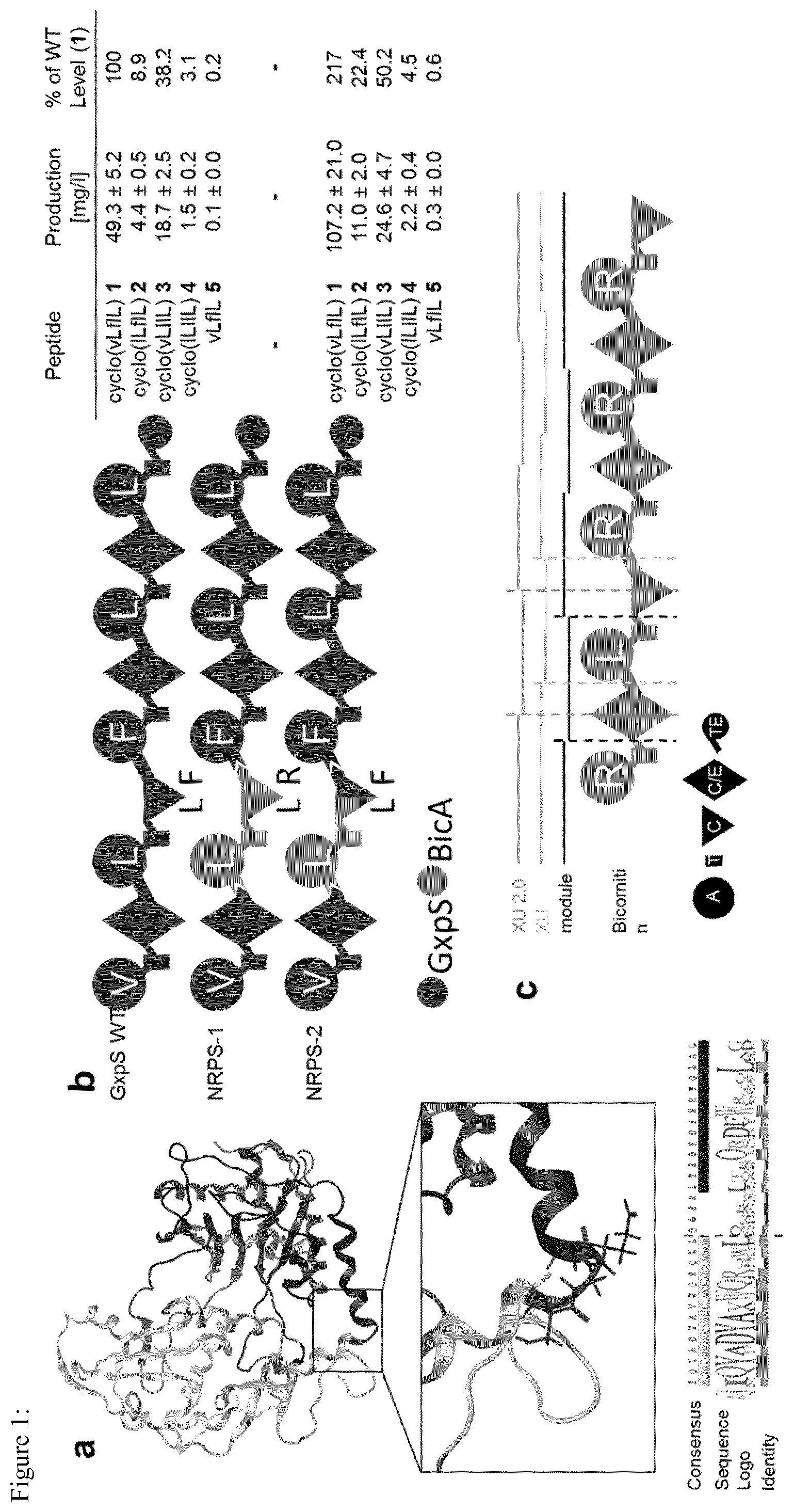 Patent US12297475 Figure 1 – System for the assembly and modification of non-ribosomal peptide synthases