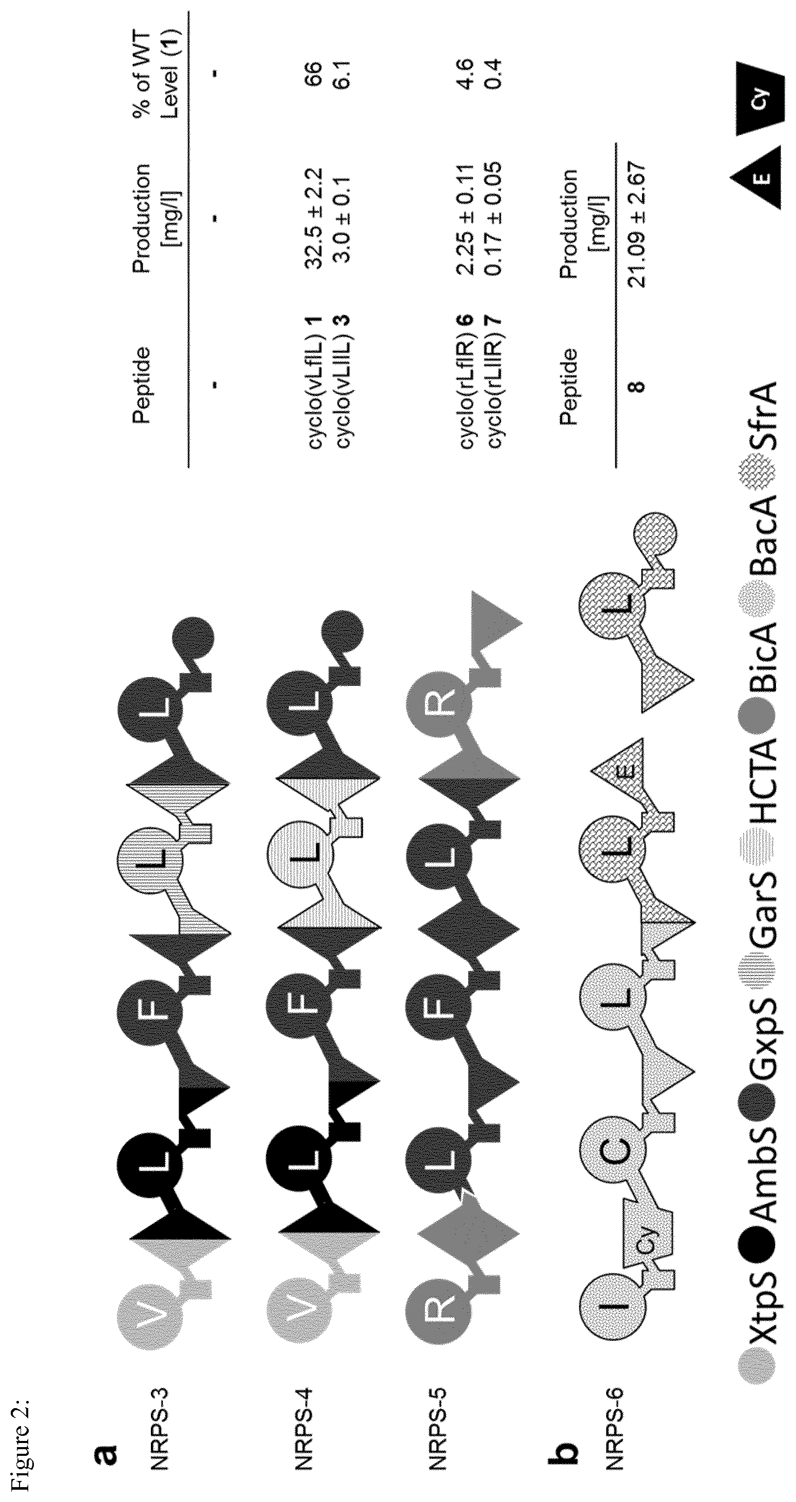 Patent US12297475 Figure 2 – System for the assembly and modification of non-ribosomal peptide synthases
