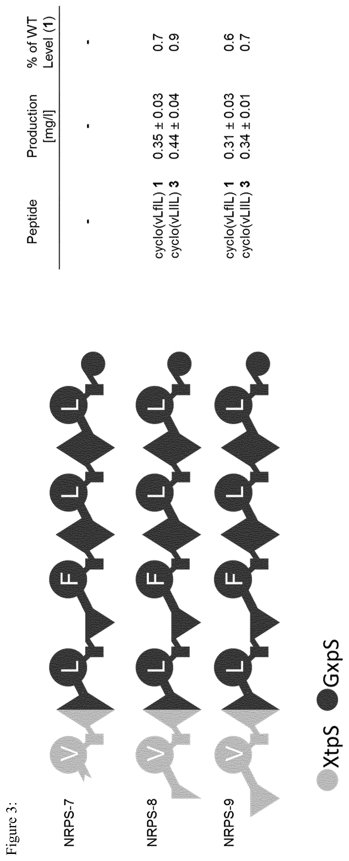 Patent US12297475 Figure 3 – System for the assembly and modification of non-ribosomal peptide synthases