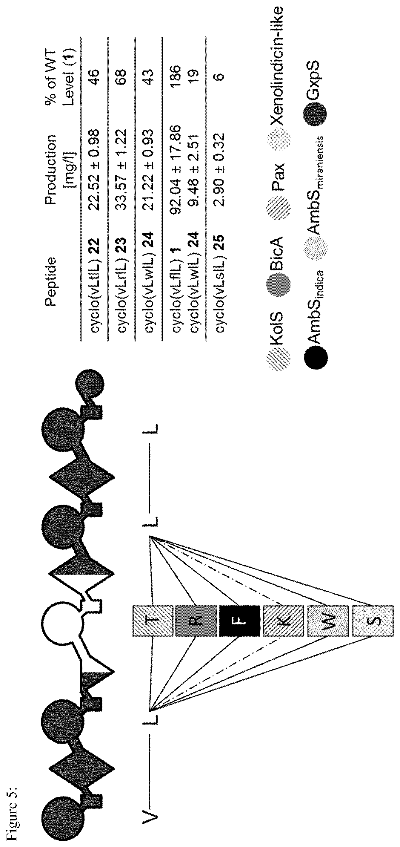 Patent US12297475 Figure 5 – System for the assembly and modification of non-ribosomal peptide synthases