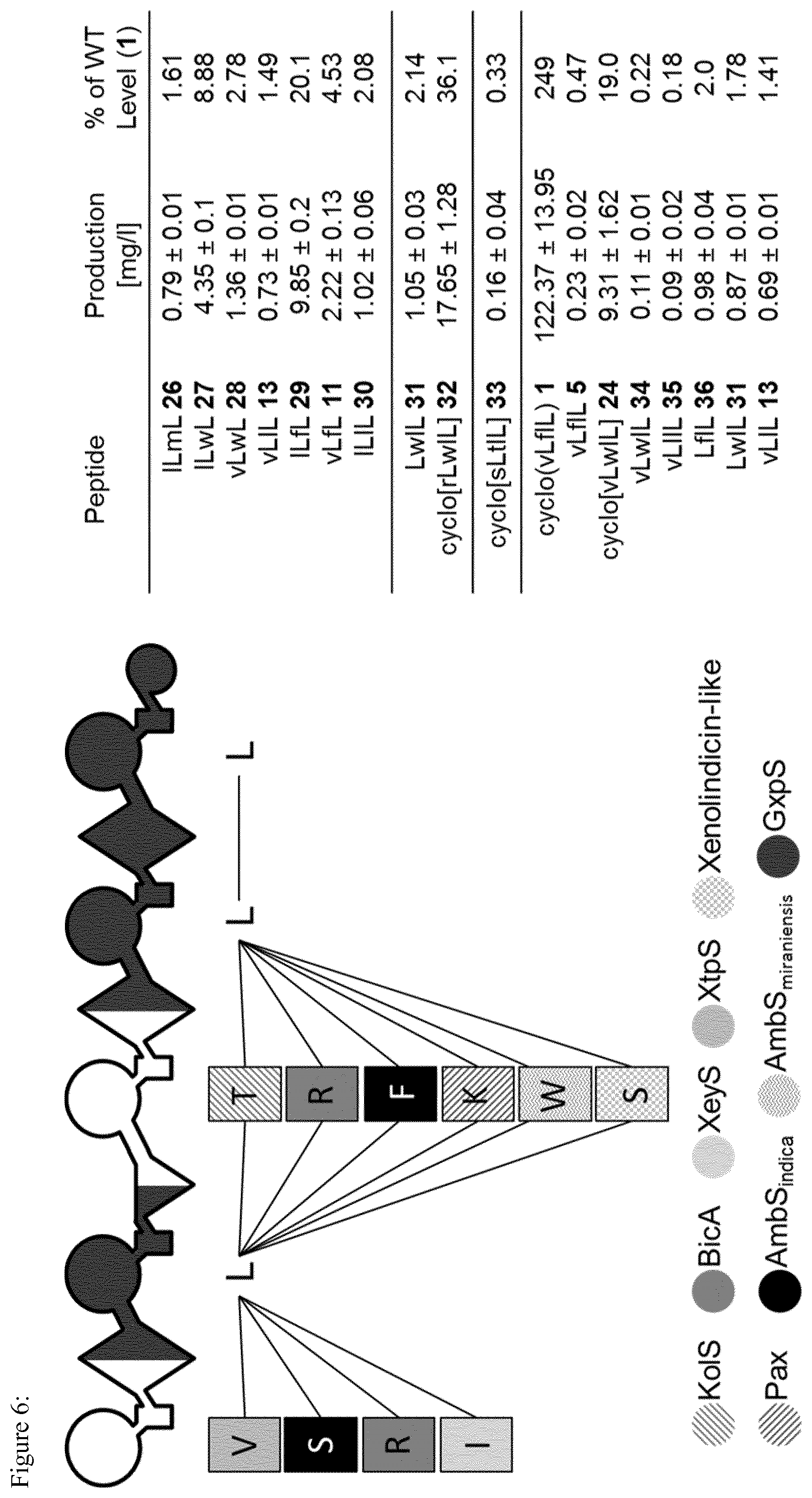 Patent US12297475 Figure 6 – System for the assembly and modification of non-ribosomal peptide synthases