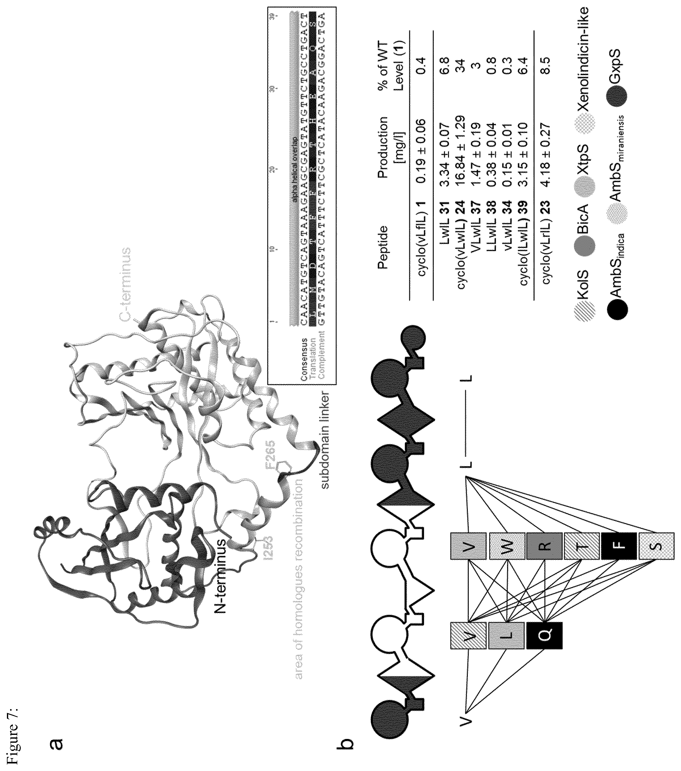 Patent US12297475 Figure 7 – System for the assembly and modification of non-ribosomal peptide synthases
