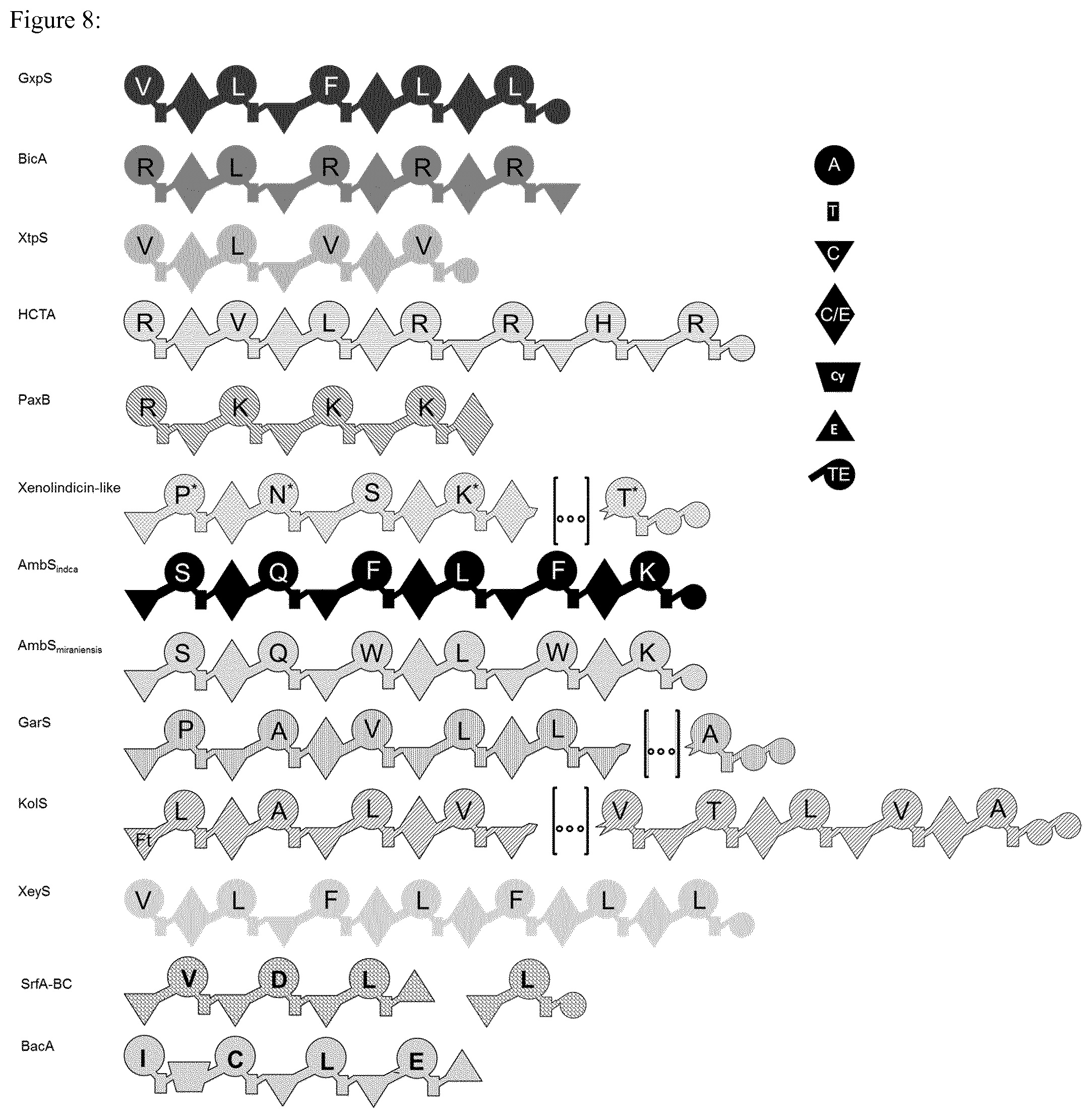 Patent US12297475 Figure 8 – System for the assembly and modification of non-ribosomal peptide synthases