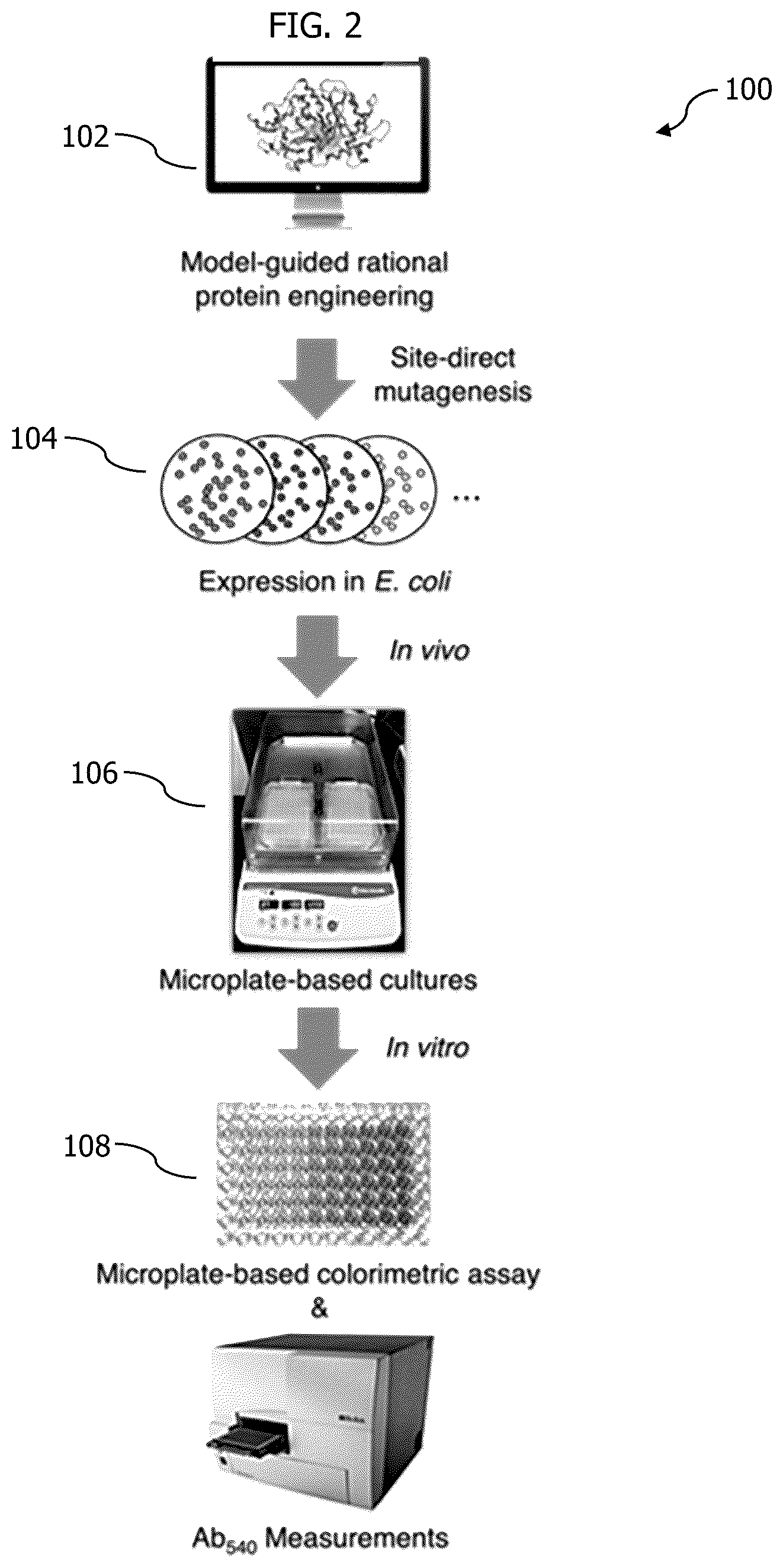 Patent US12297480 Figure 2 – Methods for producing designer esters and assessing alcohol acyltransferase specificity for ester biosynthesis