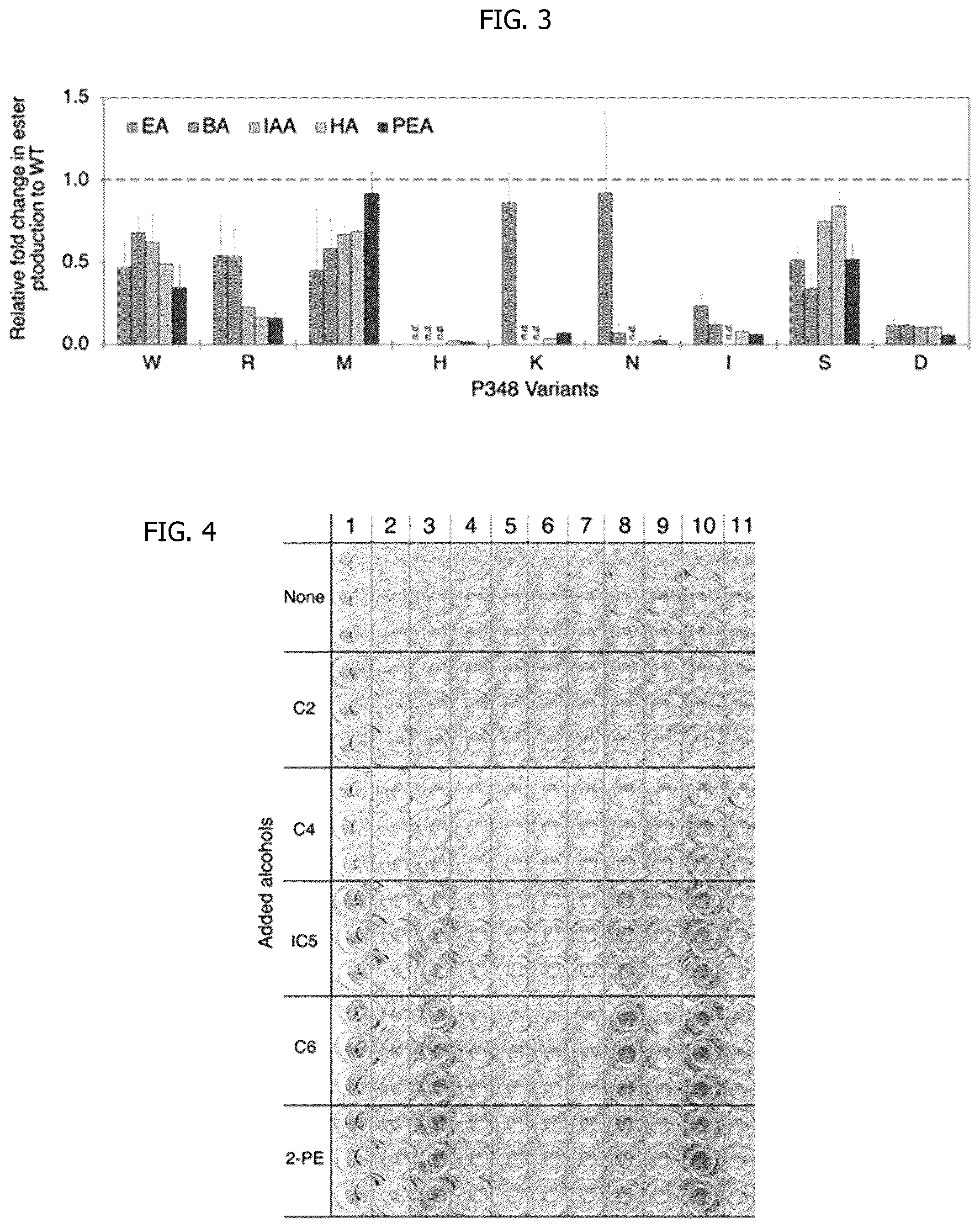 Patent US12297480 Figure 3 – Methods for producing designer esters and assessing alcohol acyltransferase specificity for ester biosynthesis