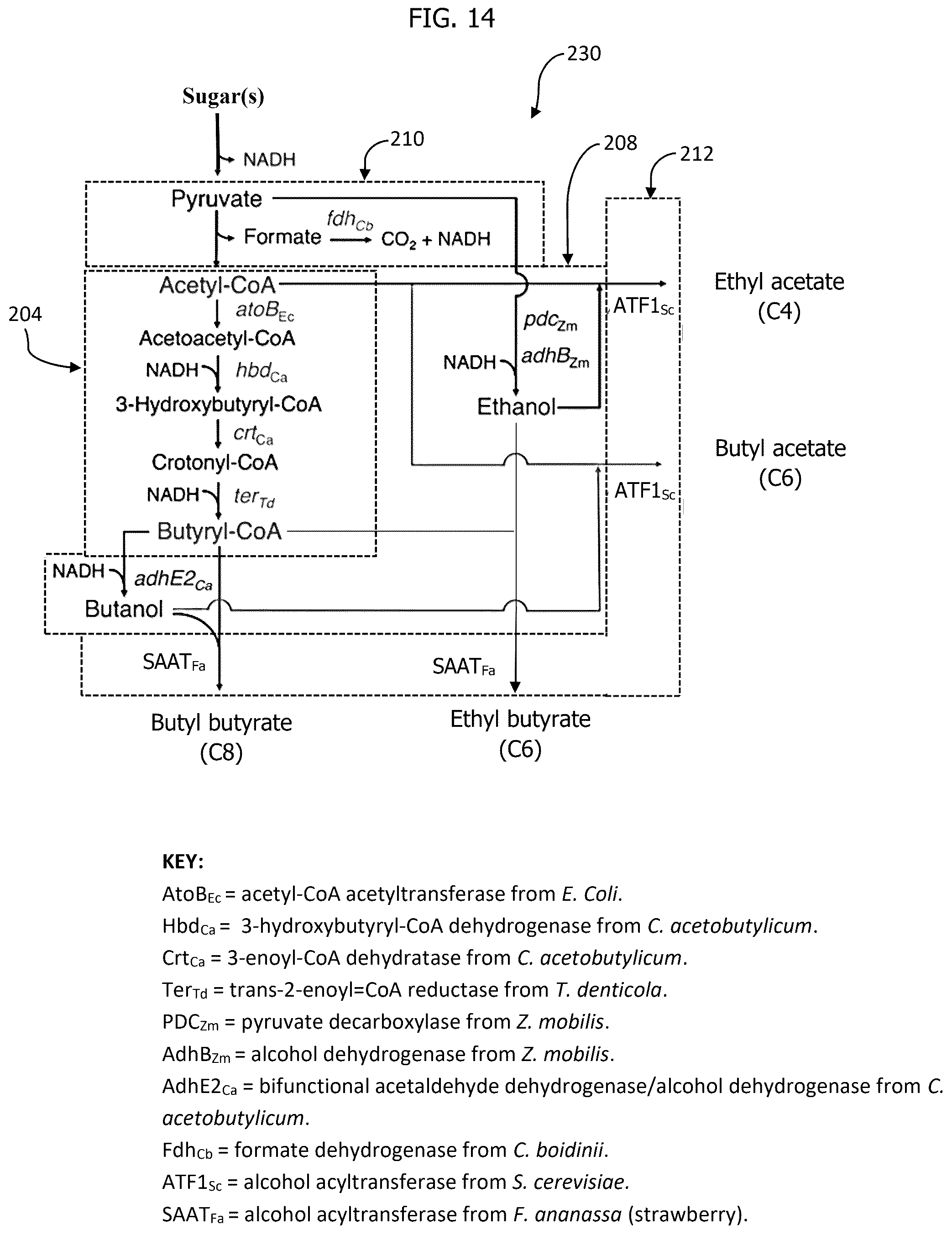 Patent US12297480 Figure 14 – Methods for producing designer esters and assessing alcohol acyltransferase specificity for ester biosynthesis