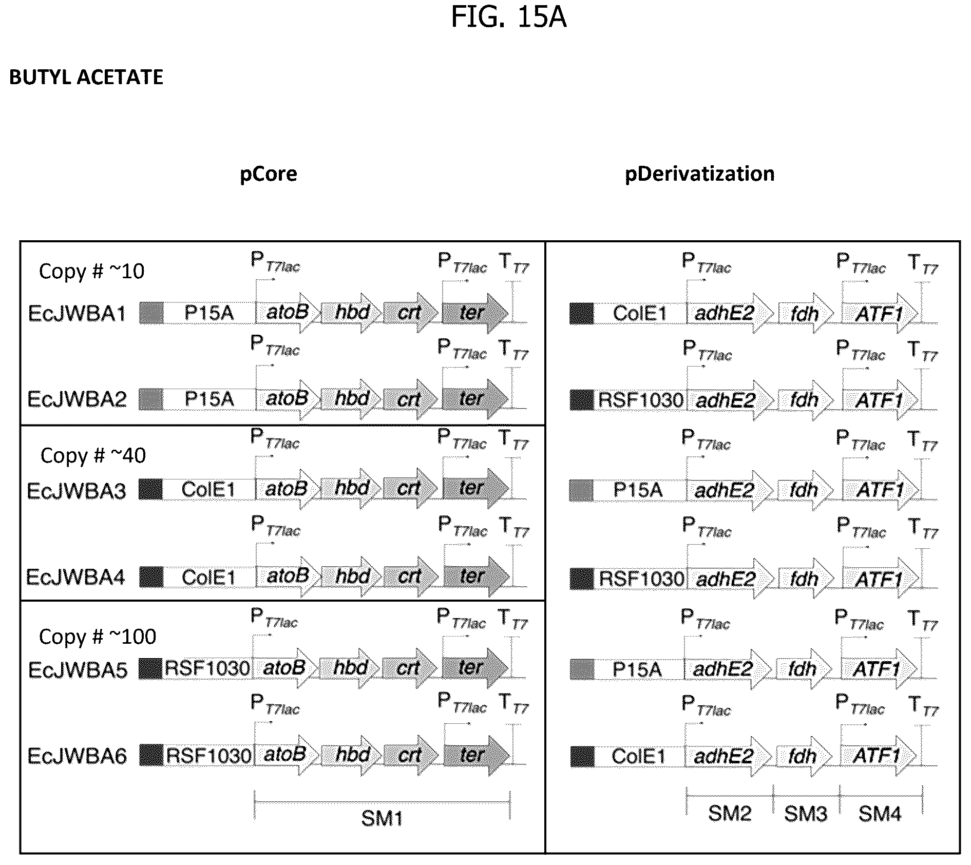 Patent US12297480 Figure 15 – Methods for producing designer esters and assessing alcohol acyltransferase specificity for ester biosynthesis