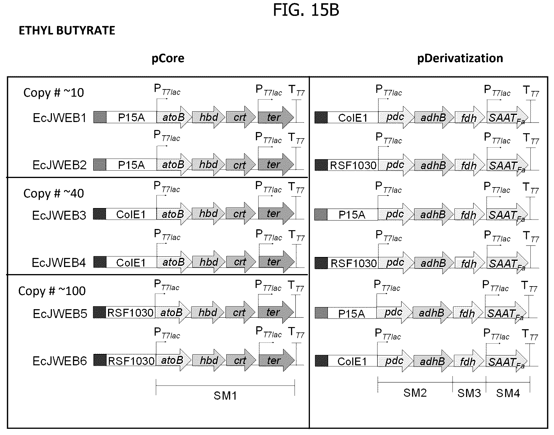 Patent US12297480 Figure 16 – Methods for producing designer esters and assessing alcohol acyltransferase specificity for ester biosynthesis