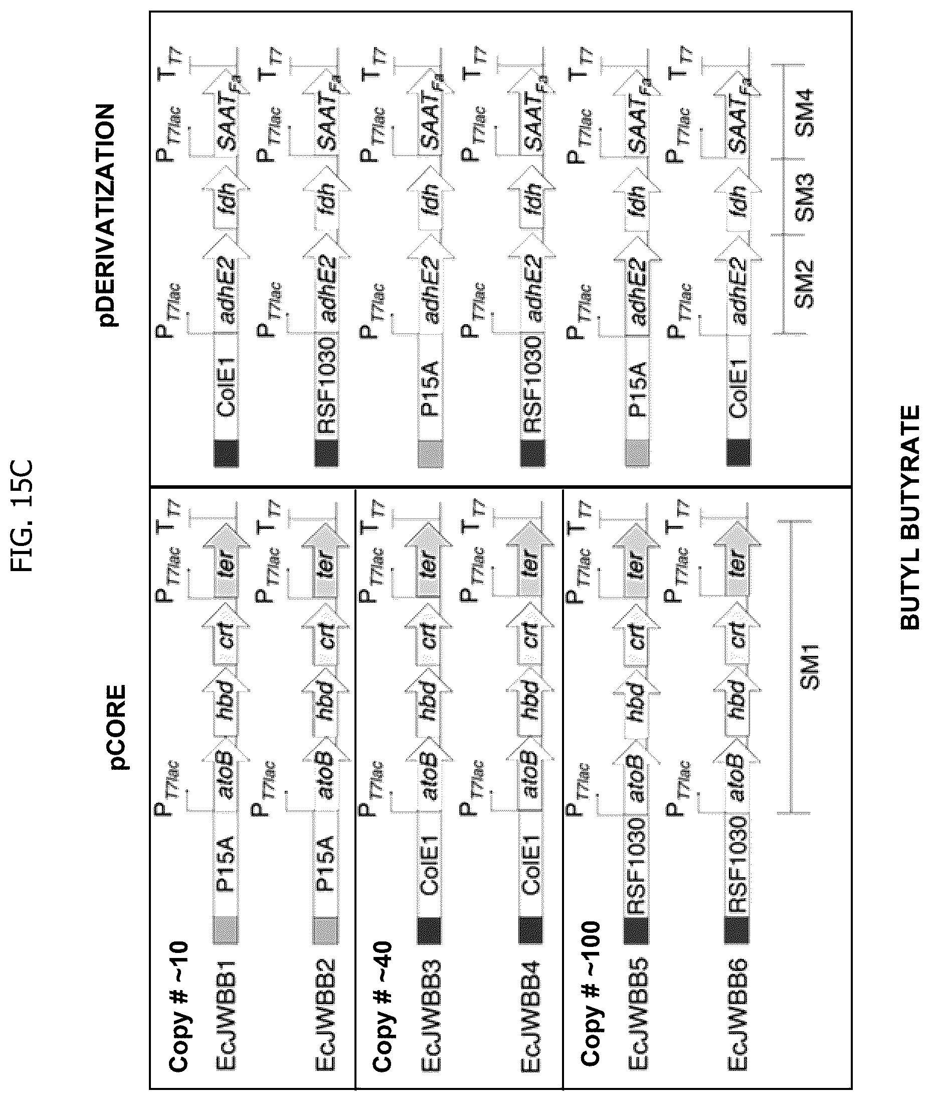 Patent US12297480 Figure 17 – Methods for producing designer esters and assessing alcohol acyltransferase specificity for ester biosynthesis