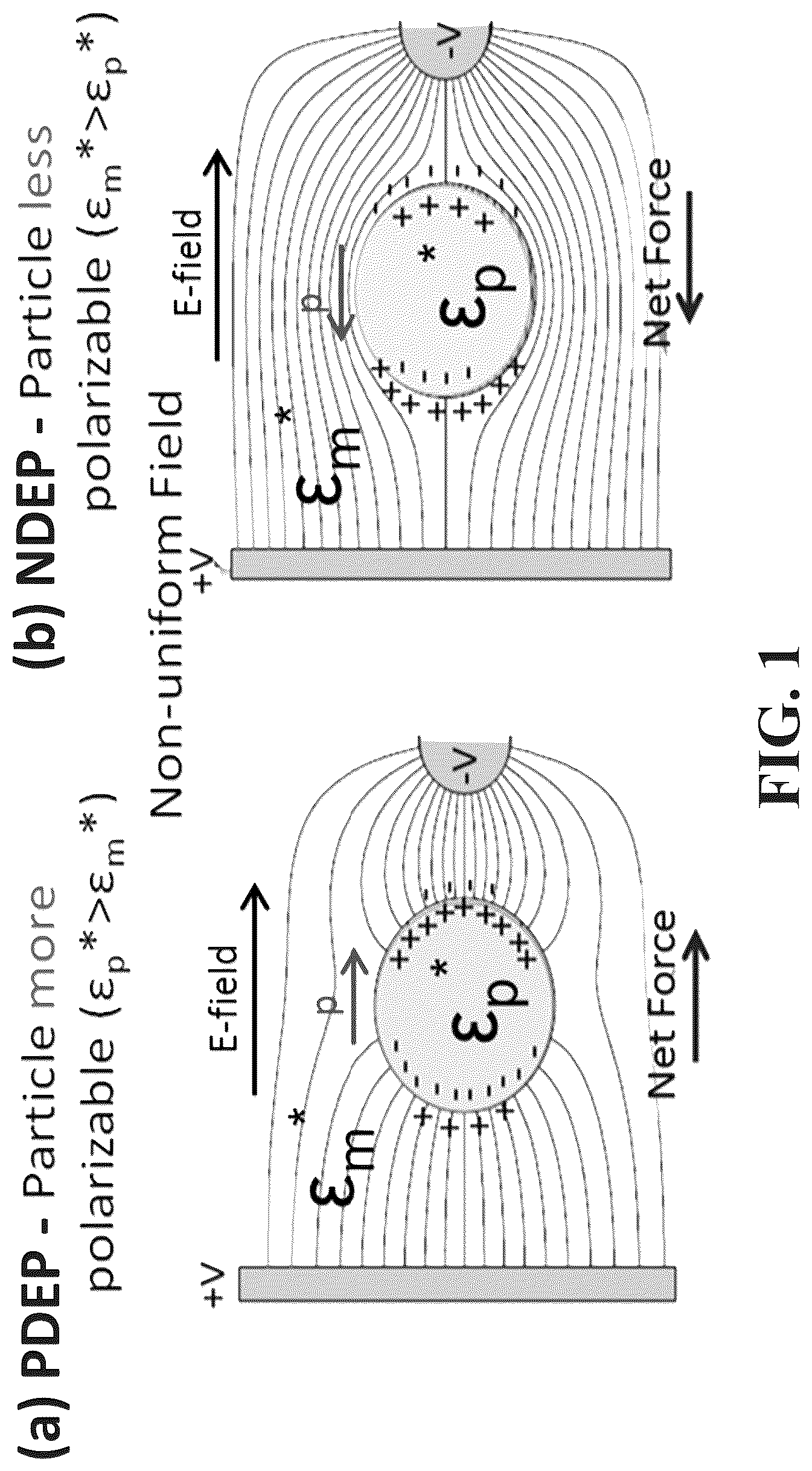 Patent US12297481 Figure 1 – Amplifier system and controls for dielectrophoretic tracking in microfluidic devices