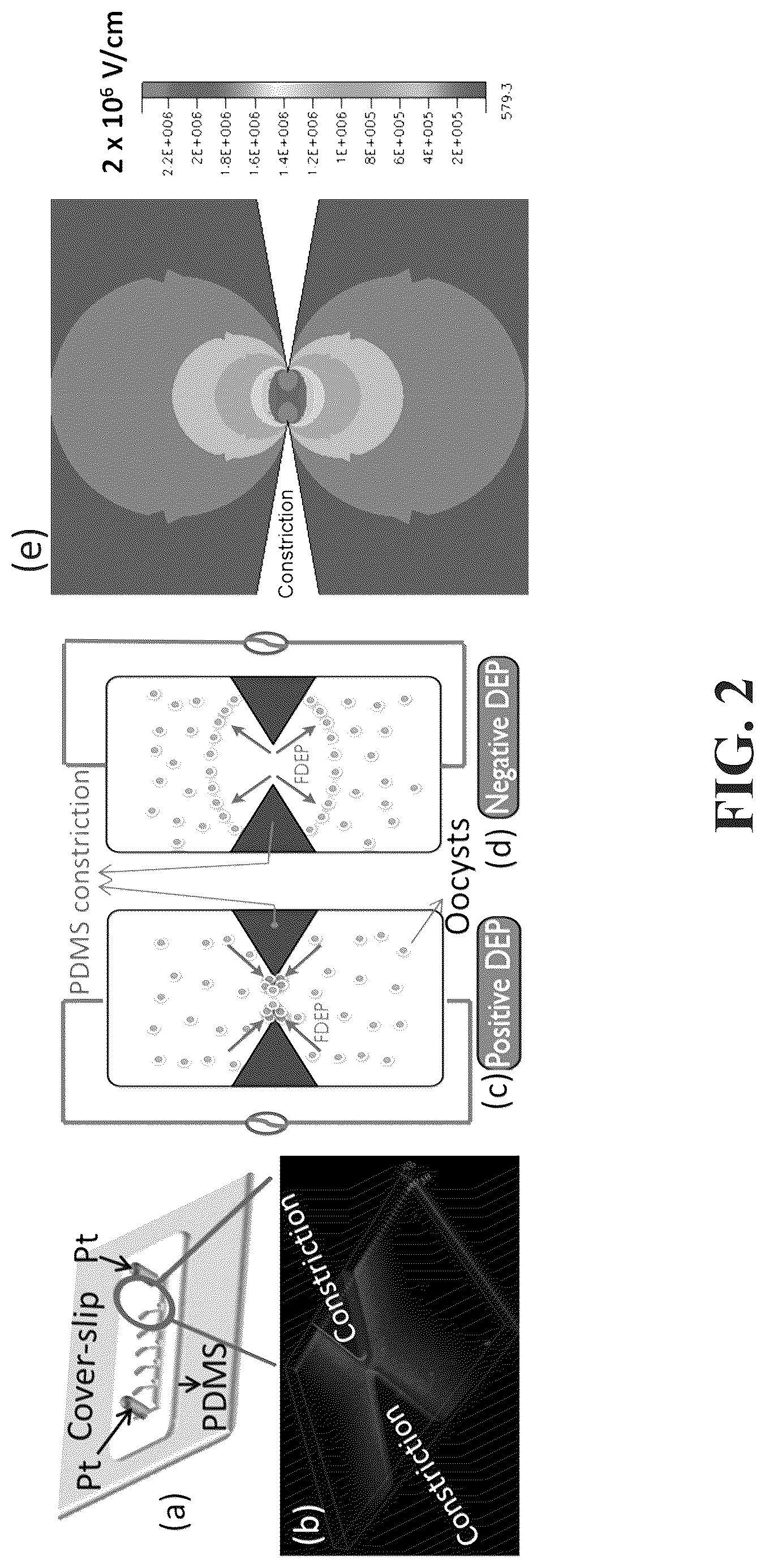 Patent US12297481 Figure 2 – Amplifier system and controls for dielectrophoretic tracking in microfluidic devices