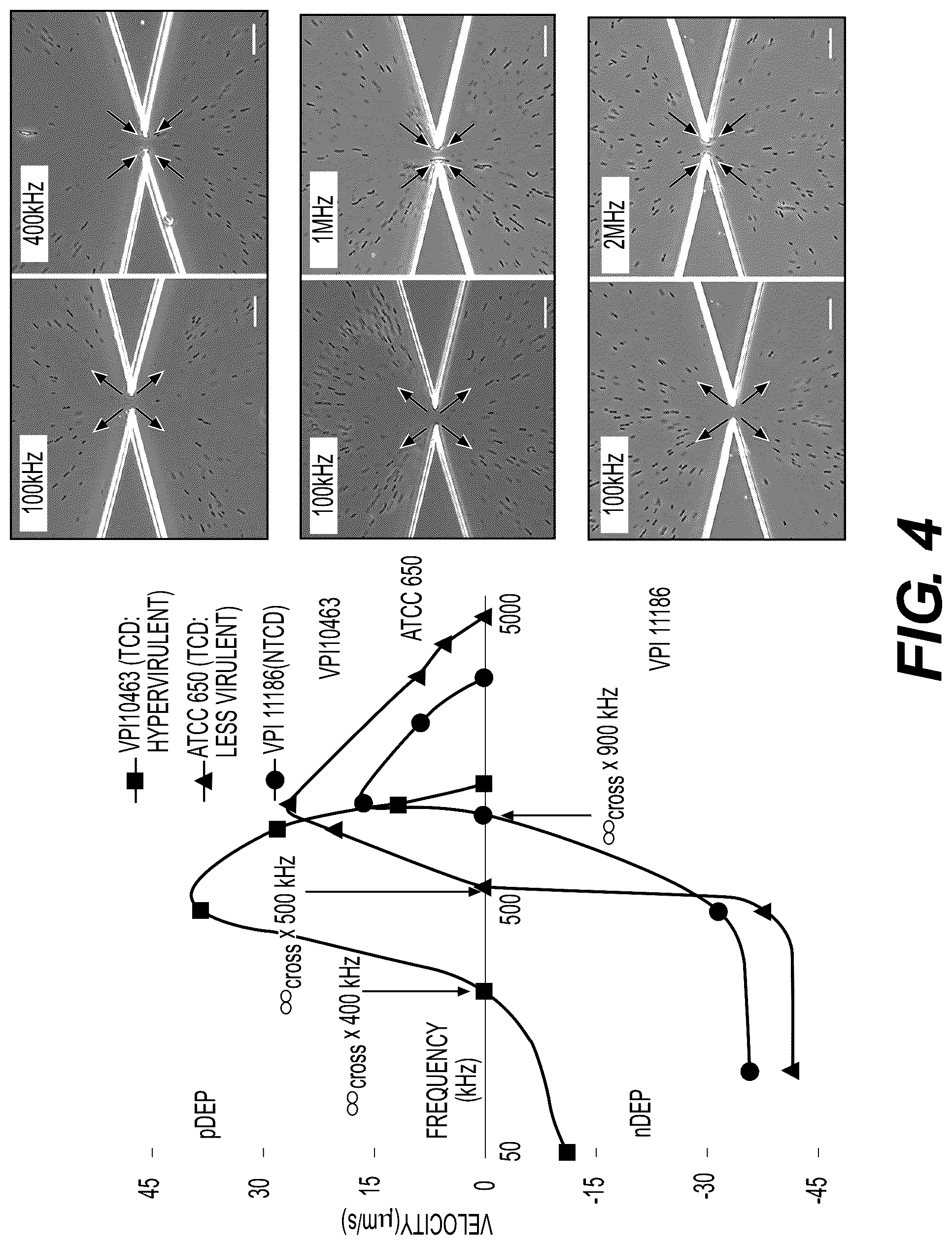 Patent US12297481 Figure 4 – Amplifier system and controls for dielectrophoretic tracking in microfluidic devices