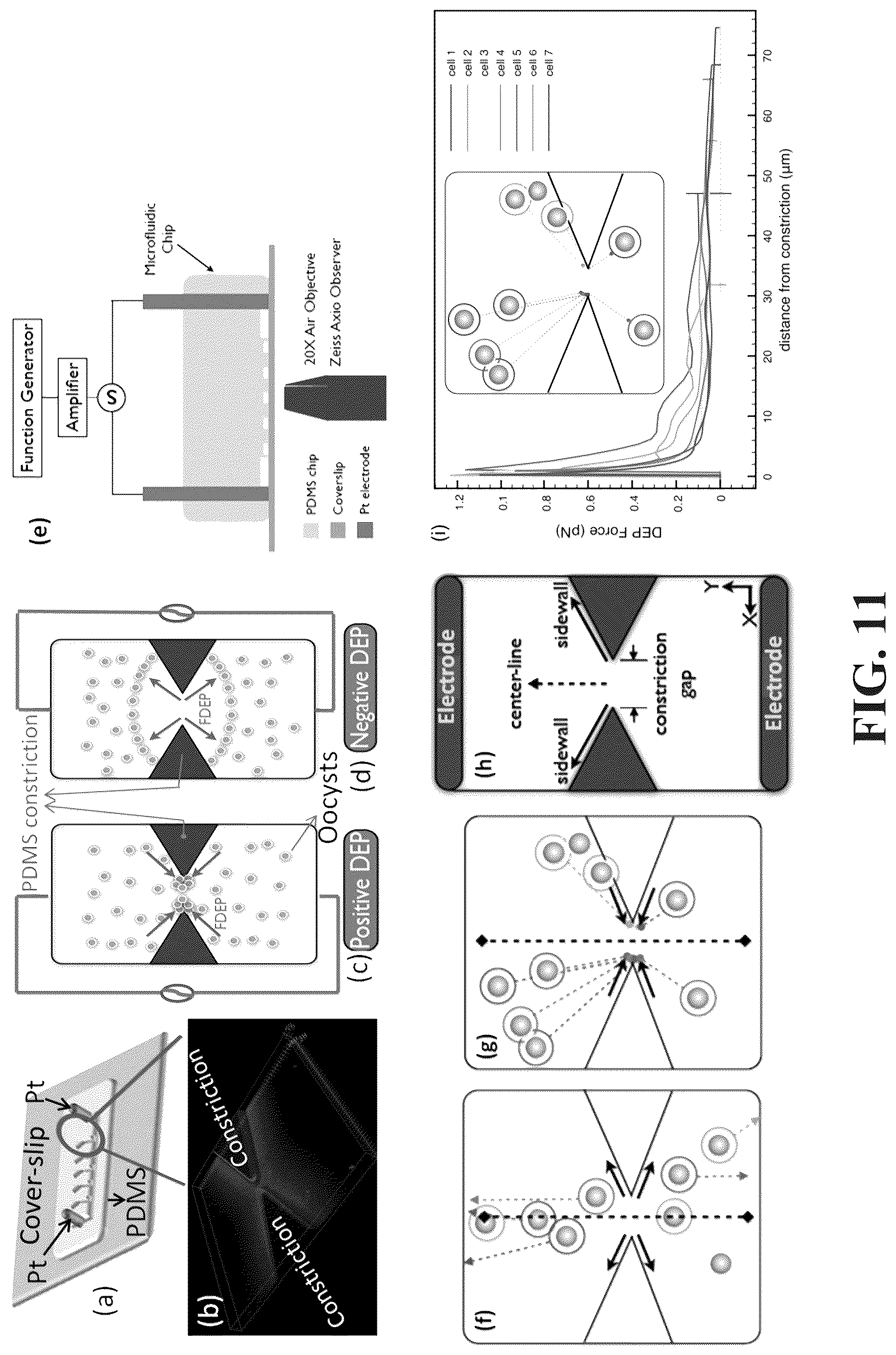 Patent US12297481 Figure 13 – Amplifier system and controls for dielectrophoretic tracking in microfluidic devices