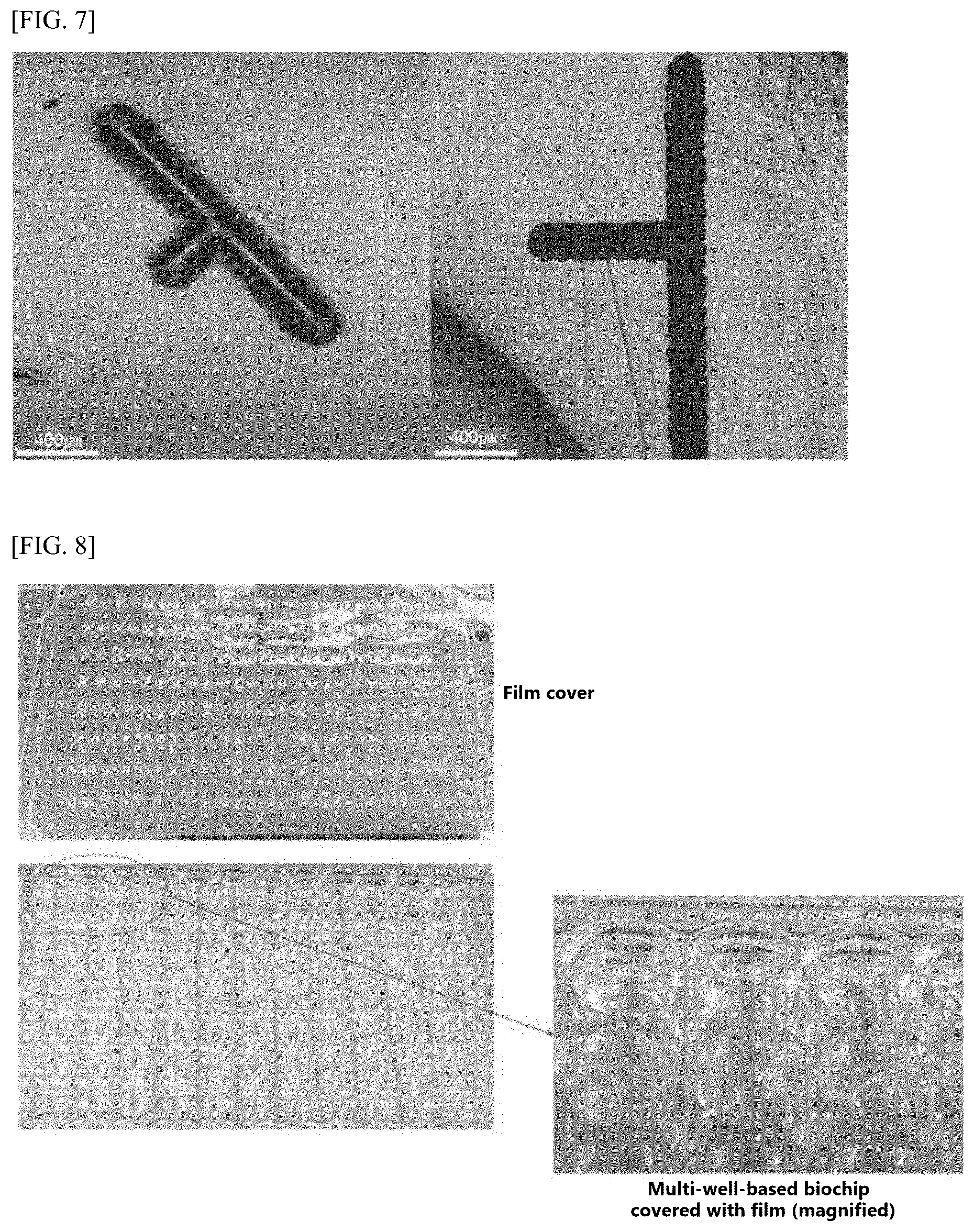 Patent US12297482 Figure 6 – Rapid cell culture test device designed such that fluid films with uniform thickness are formed