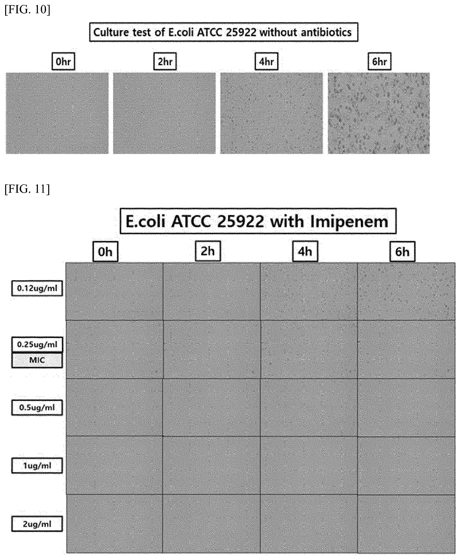 Patent US12297482 Figure 8 – Rapid cell culture test device designed such that fluid films with uniform thickness are formed
