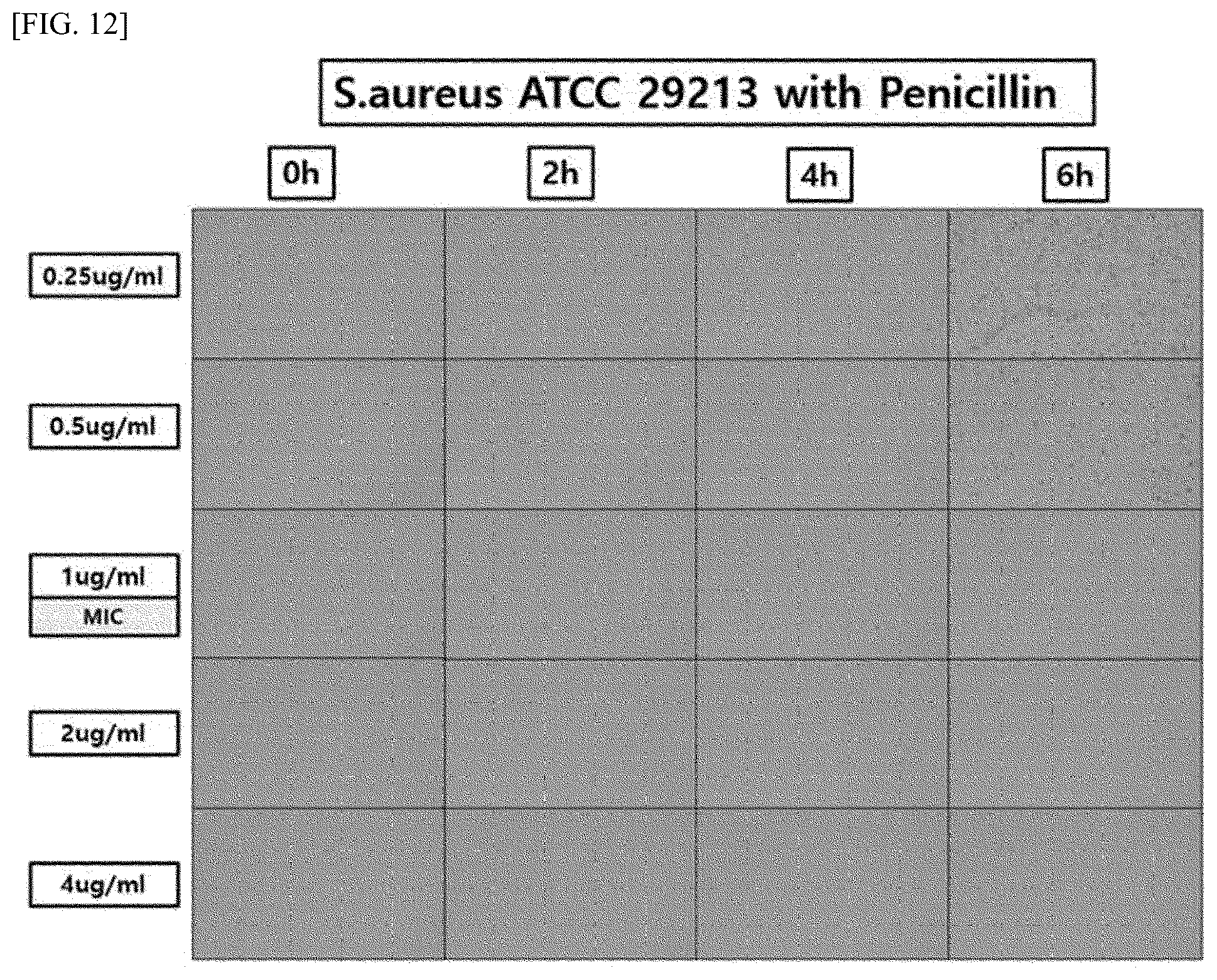 Patent US12297482 Figure 9 – Rapid cell culture test device designed such that fluid films with uniform thickness are formed