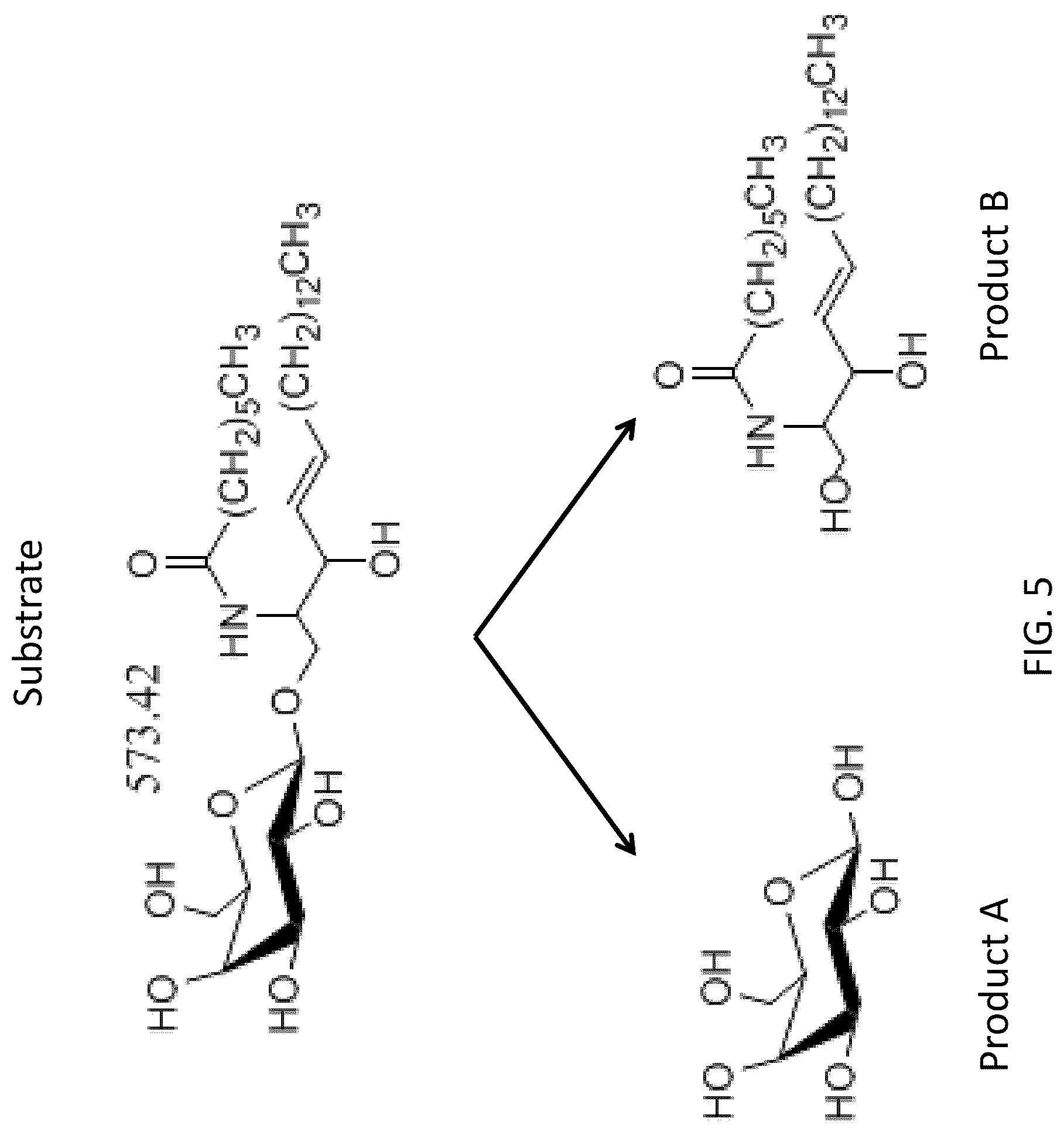 Patent US12297483 Figure 6 – Compounds and methods relating to lysosomal storage disorders