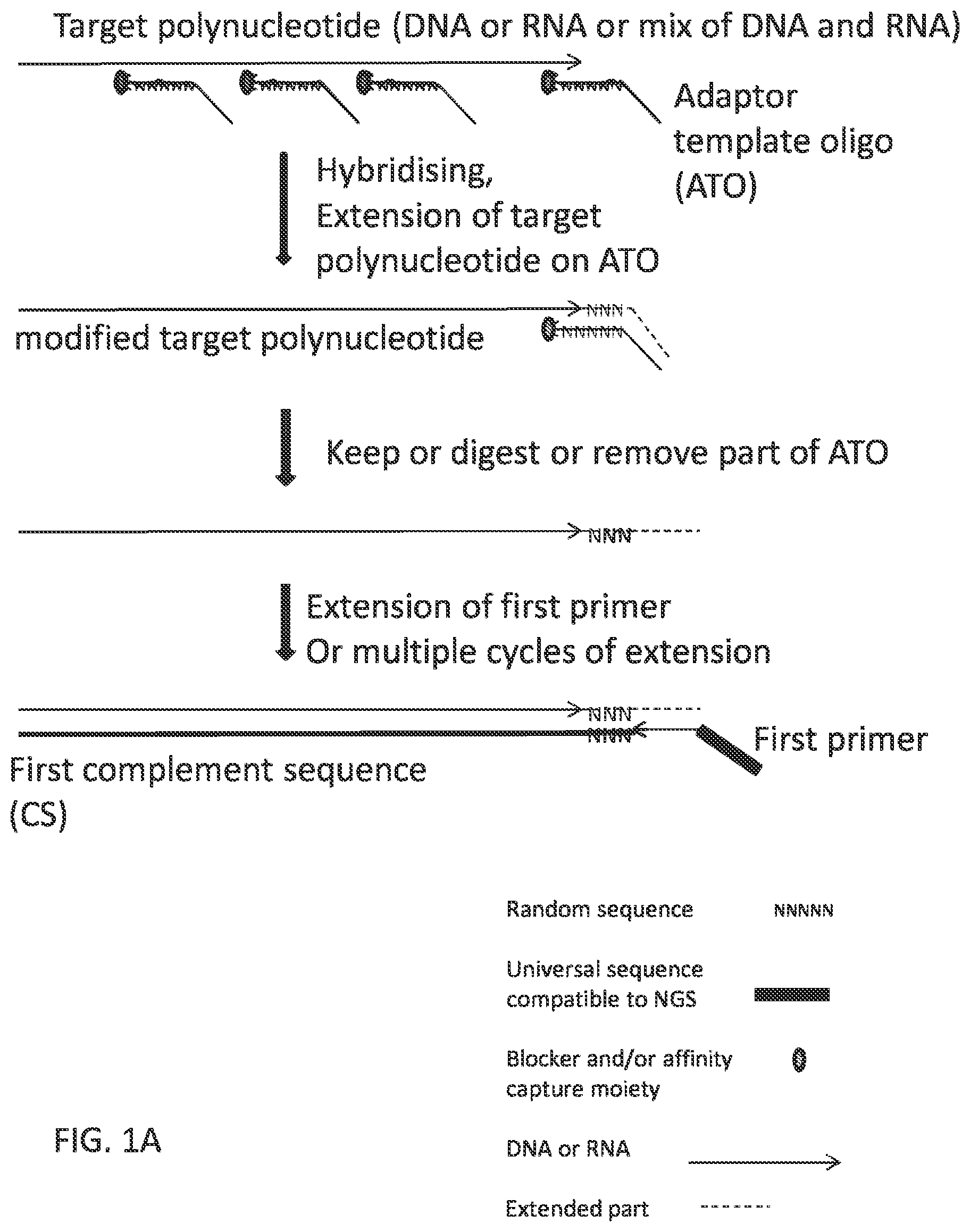 Patent US12297484 Figure 1 – Methods, compositions, and kits for preparing nucleic acid libraries