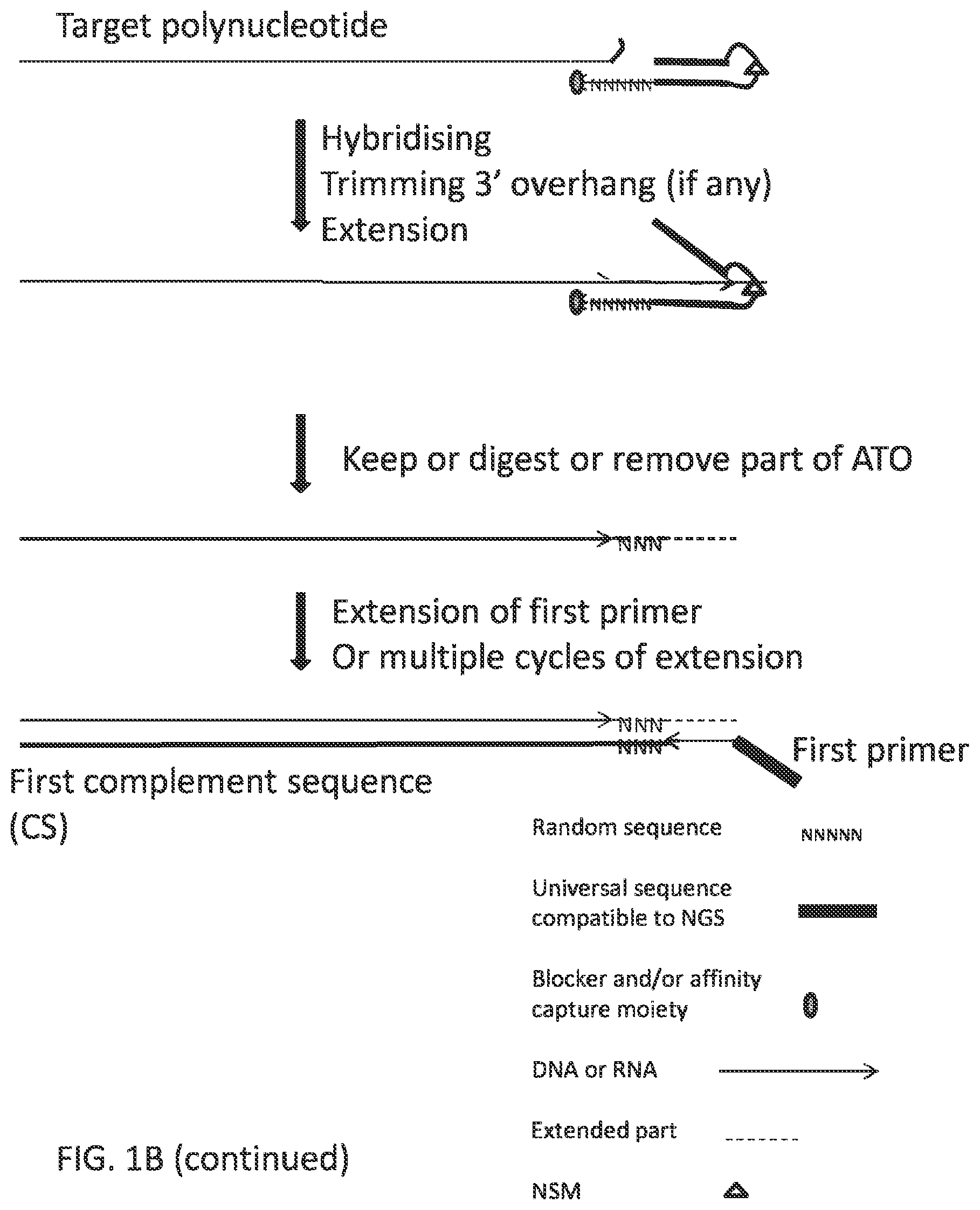 Patent US12297484 Figure 2 – Methods, compositions, and kits for preparing nucleic acid libraries
